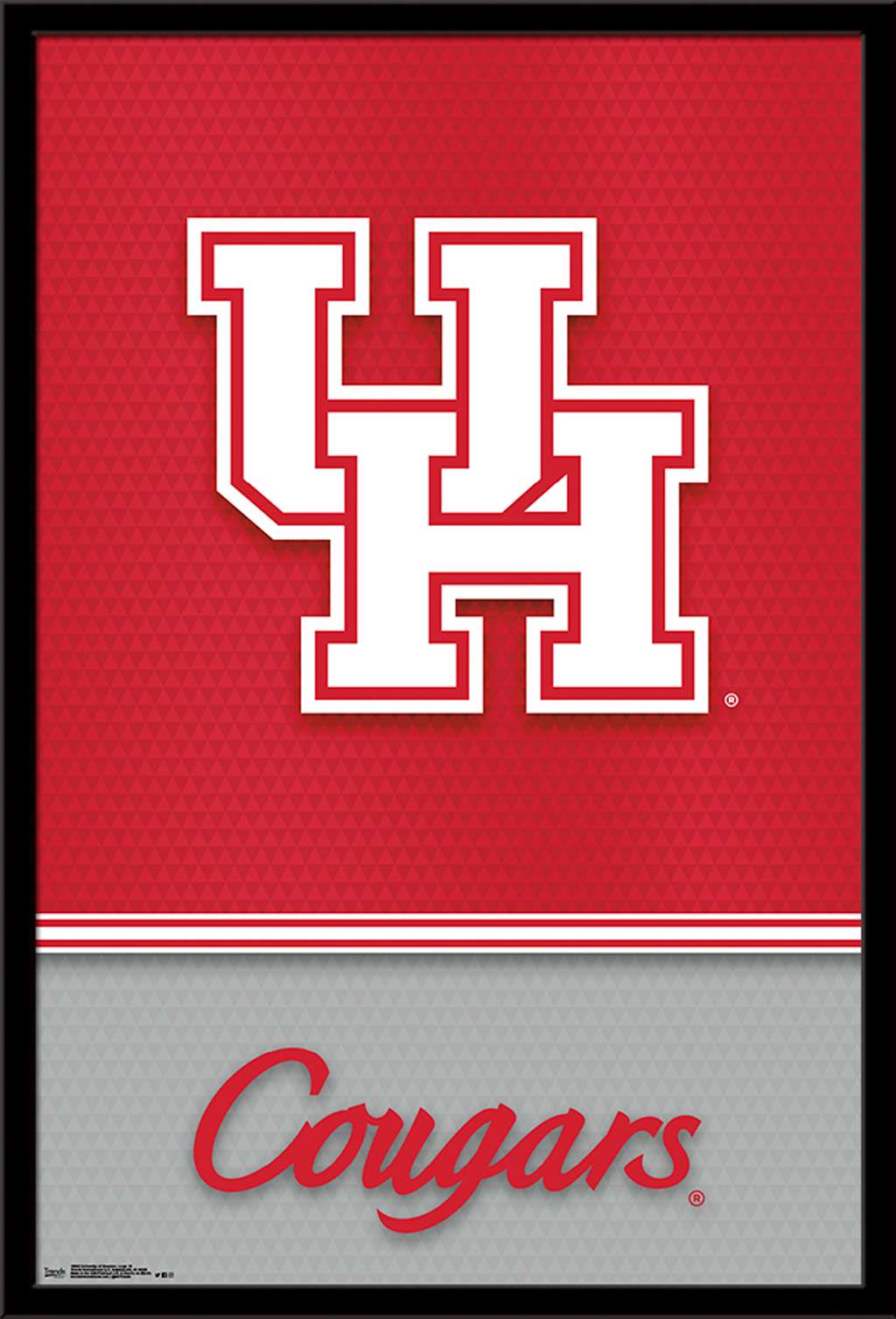 1024x1507 Collegiate of Houston Cougars