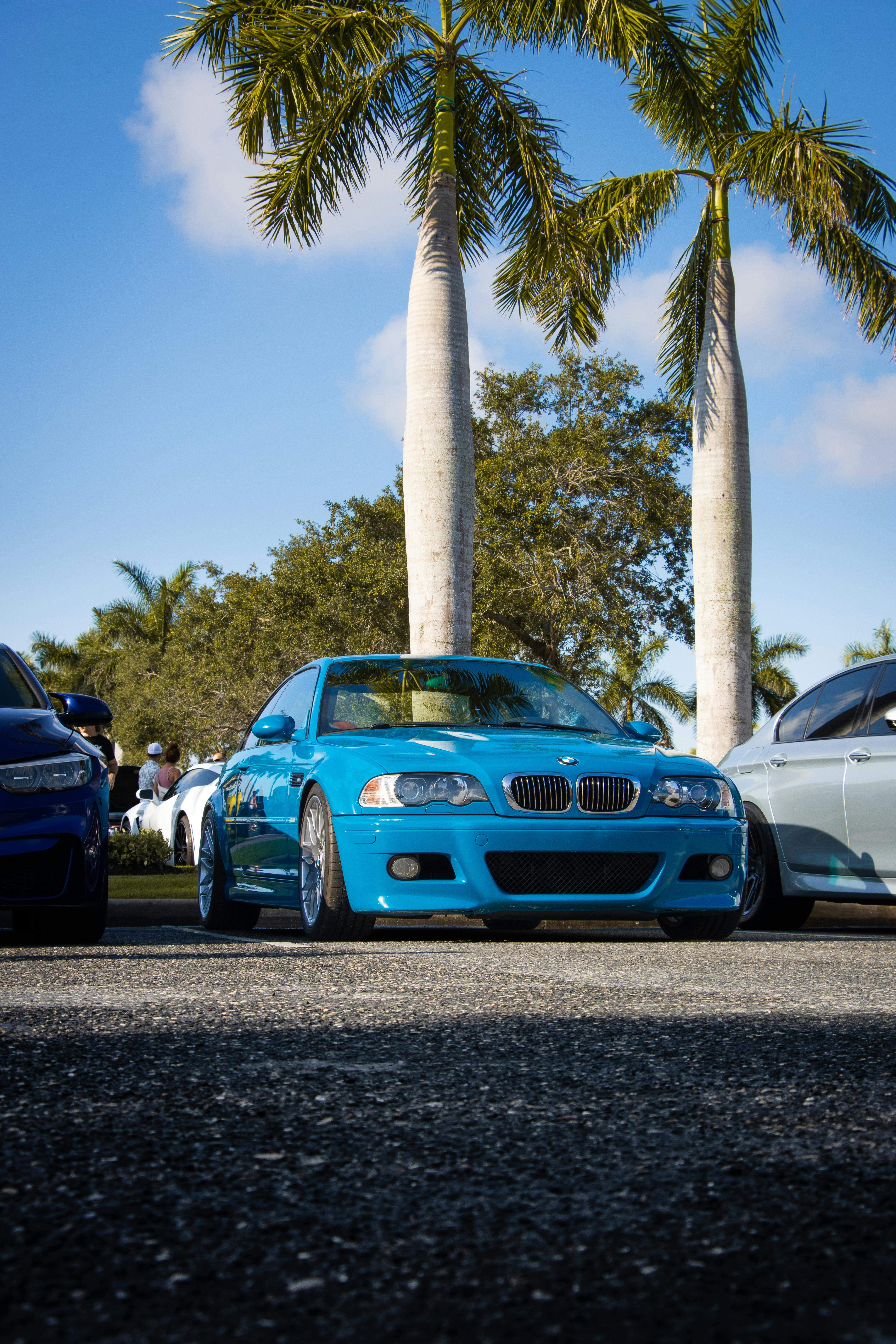 4640x6960 Blue BMW E46 Car Parked under Palm Trees · Free