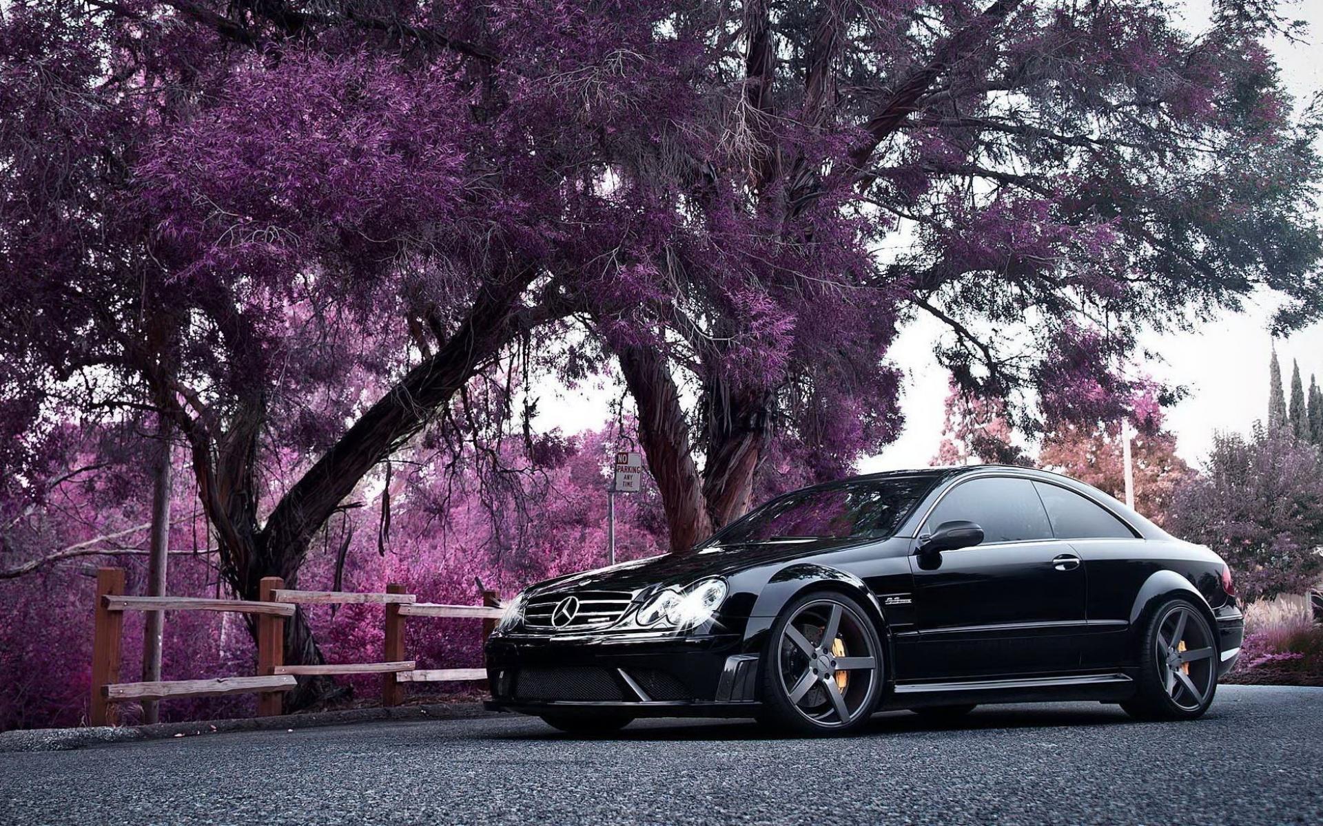 1920x1200 Mercedes CLK Wallpaper
