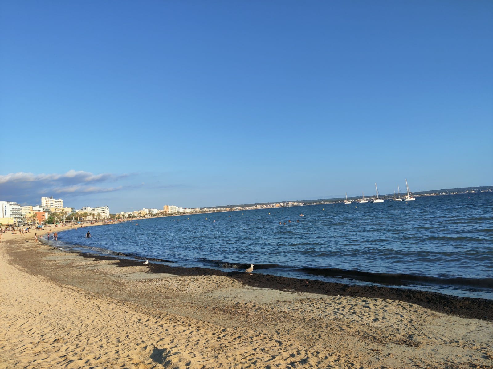 1600x1200 traveler reviews of Magaluf, Majorca