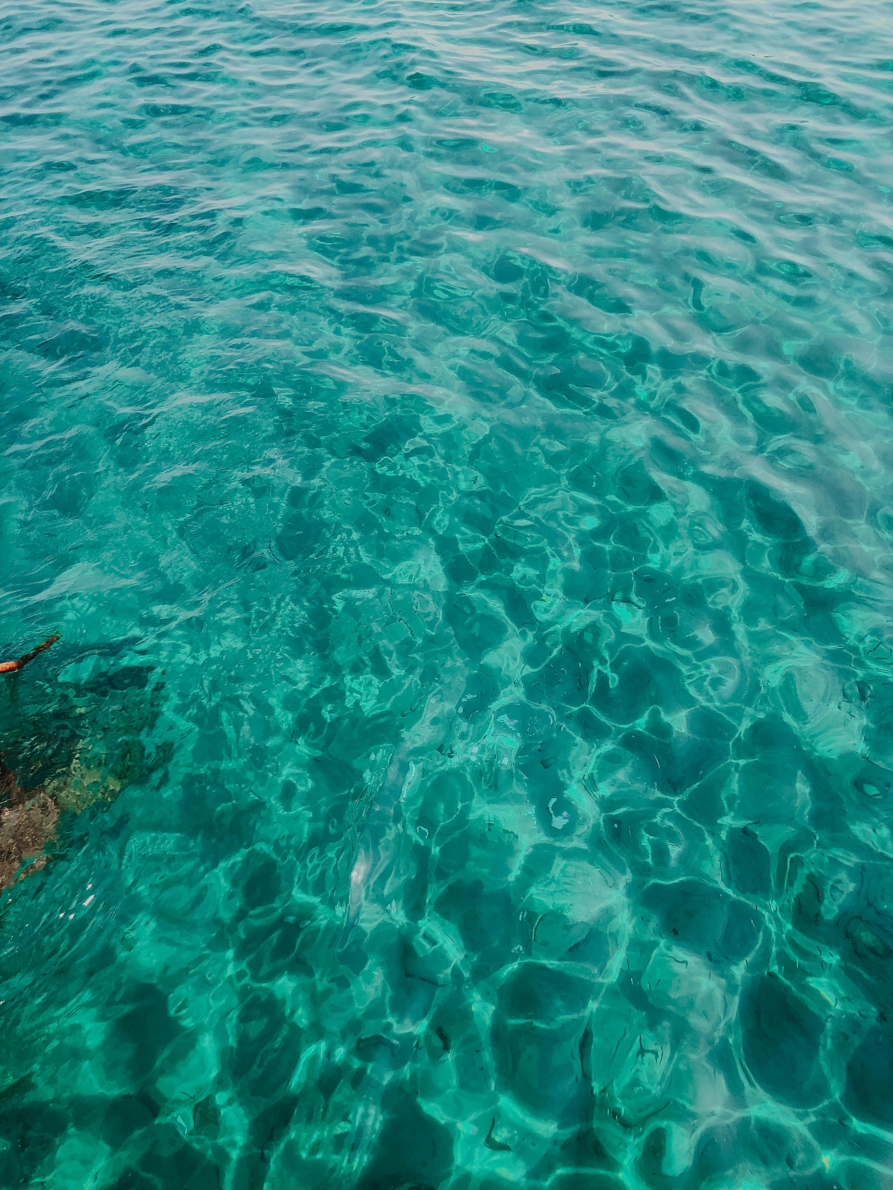 3024x4032 Turquoise Body of Water Surface · Free