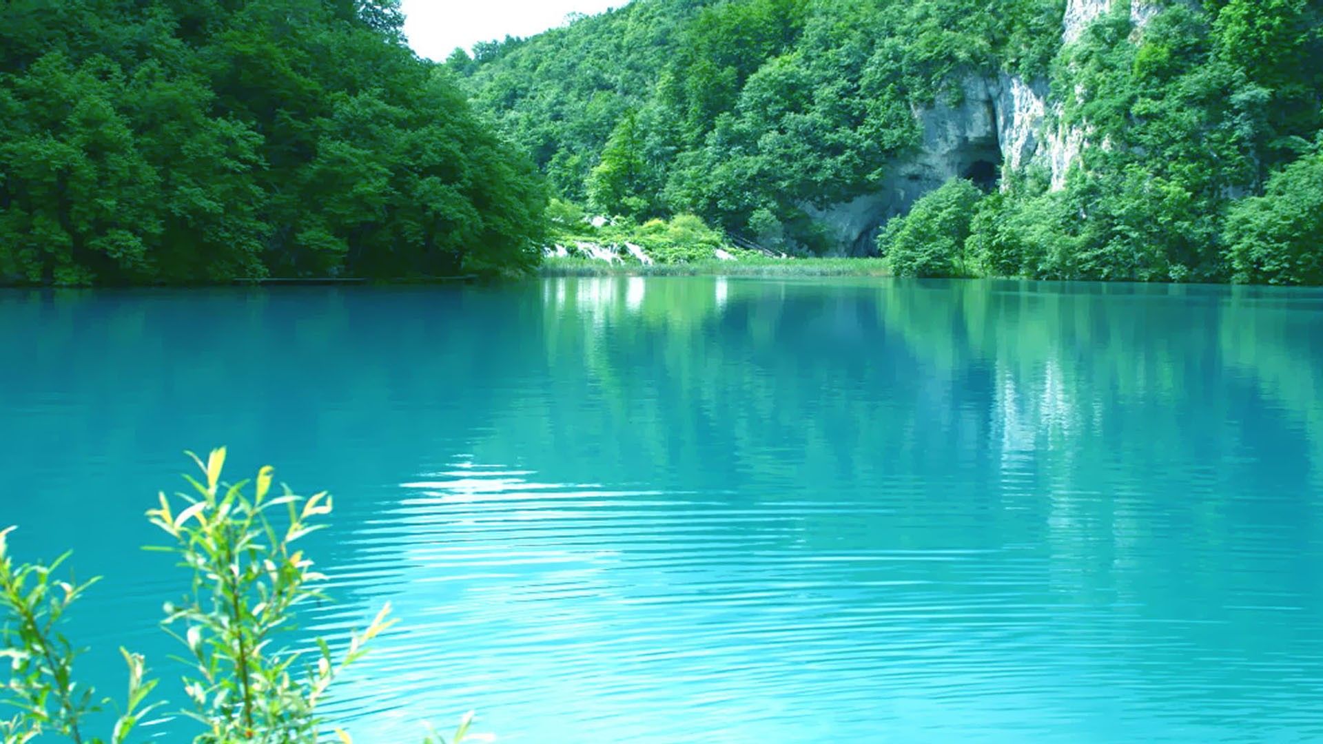 1920x1080 Turquoise Water Greenery Nature HD Turquoise Wallpaper