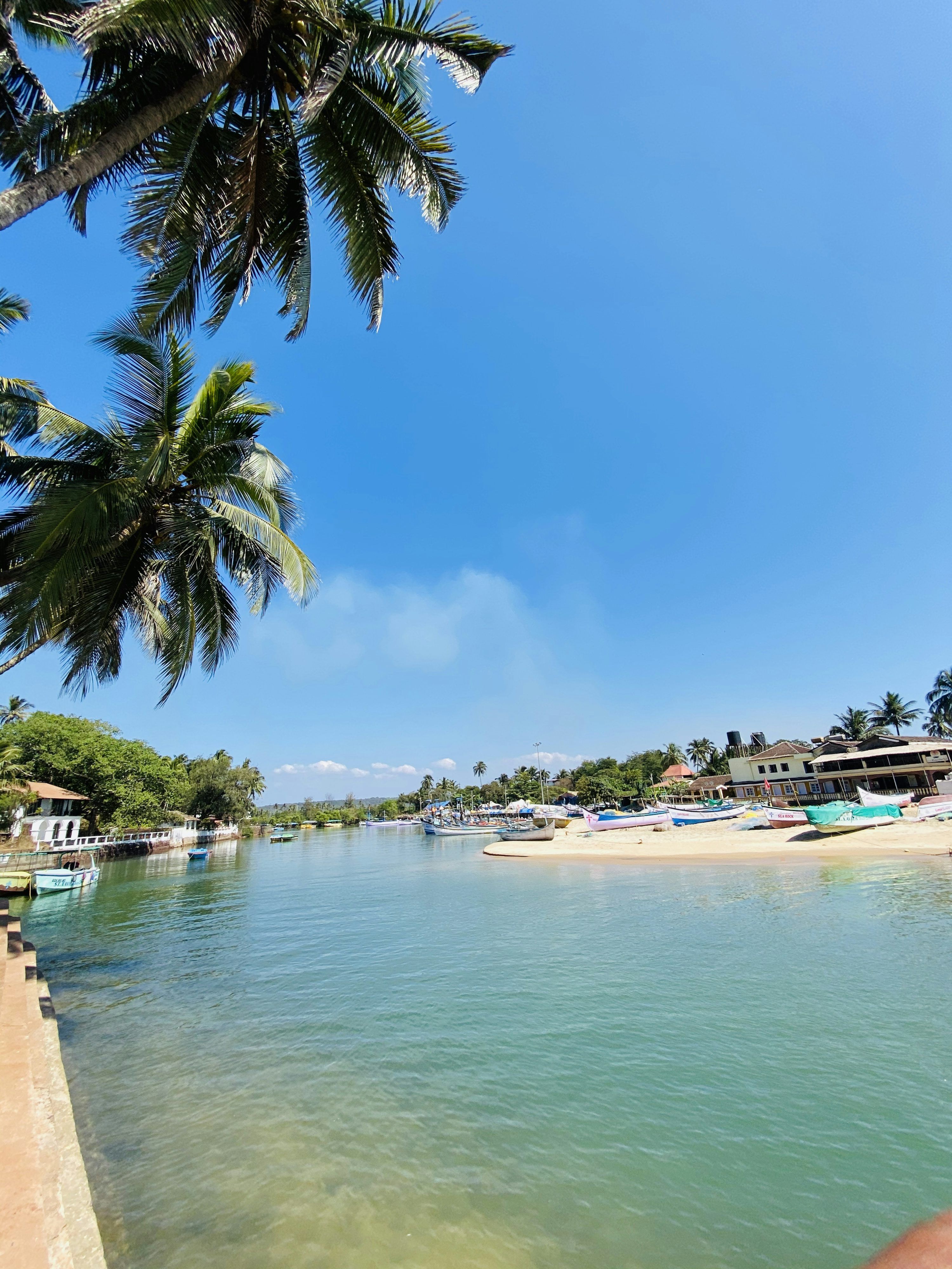 3000x4000 Baga Beach Picture. Download Free Image
