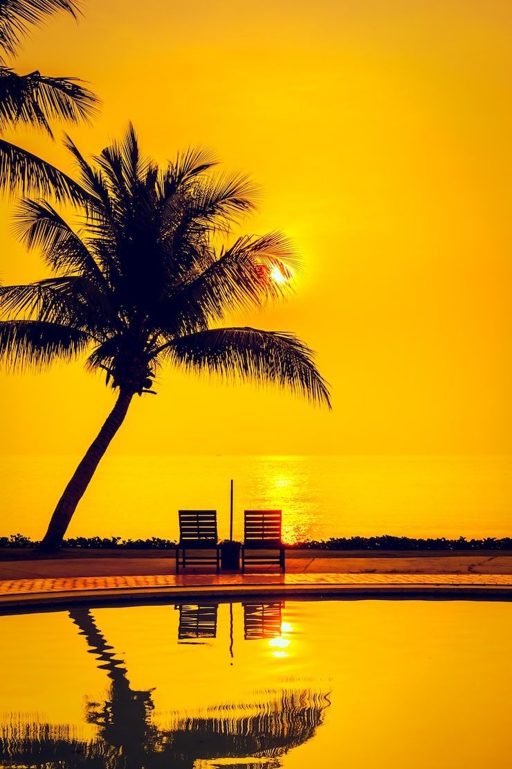 740x1110 Goa scenery Image