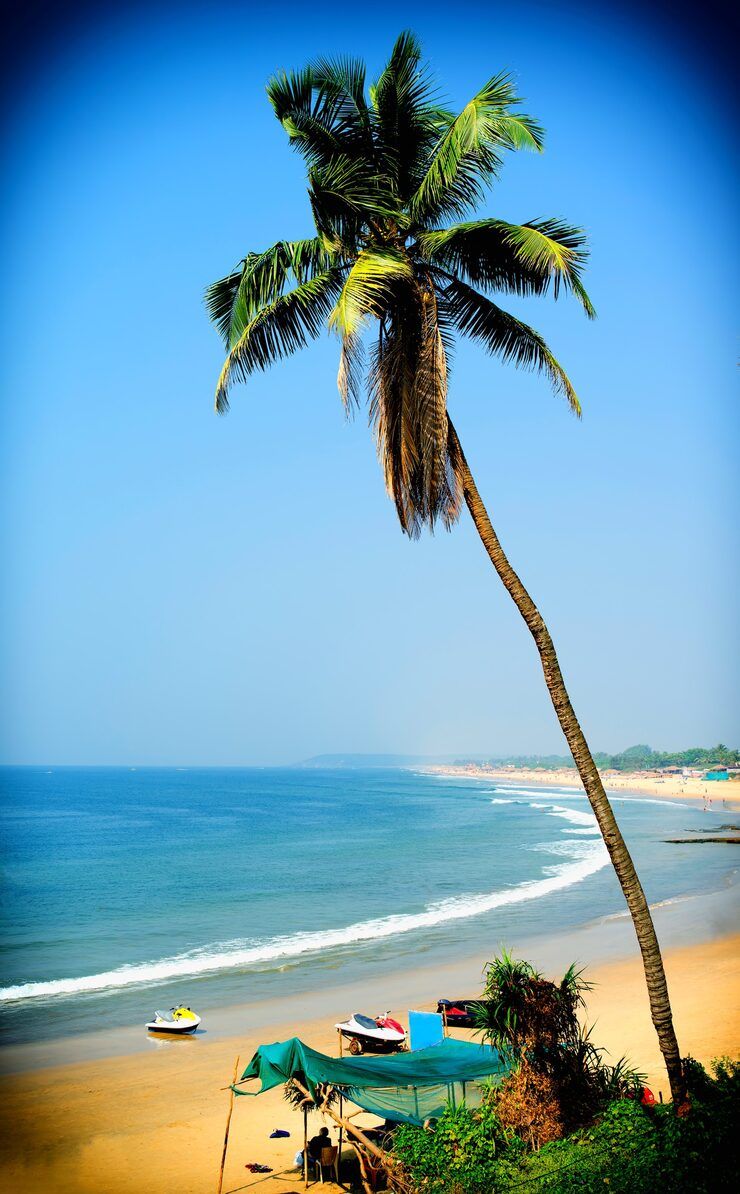 740x1194 Goa beach Image