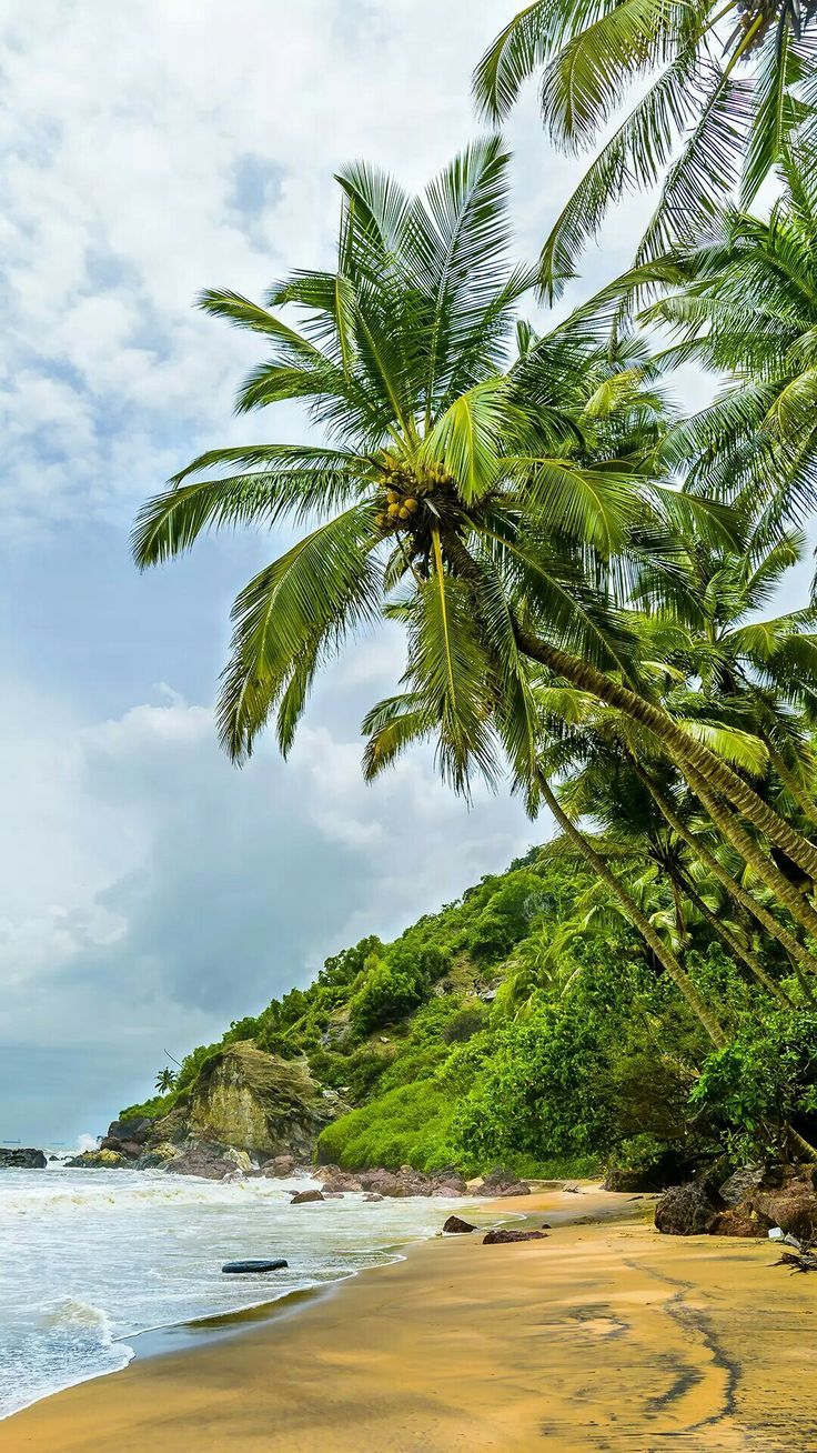 736x1308 Wallpaper. Places to visit, Cool places to visit, Goa wallpaper