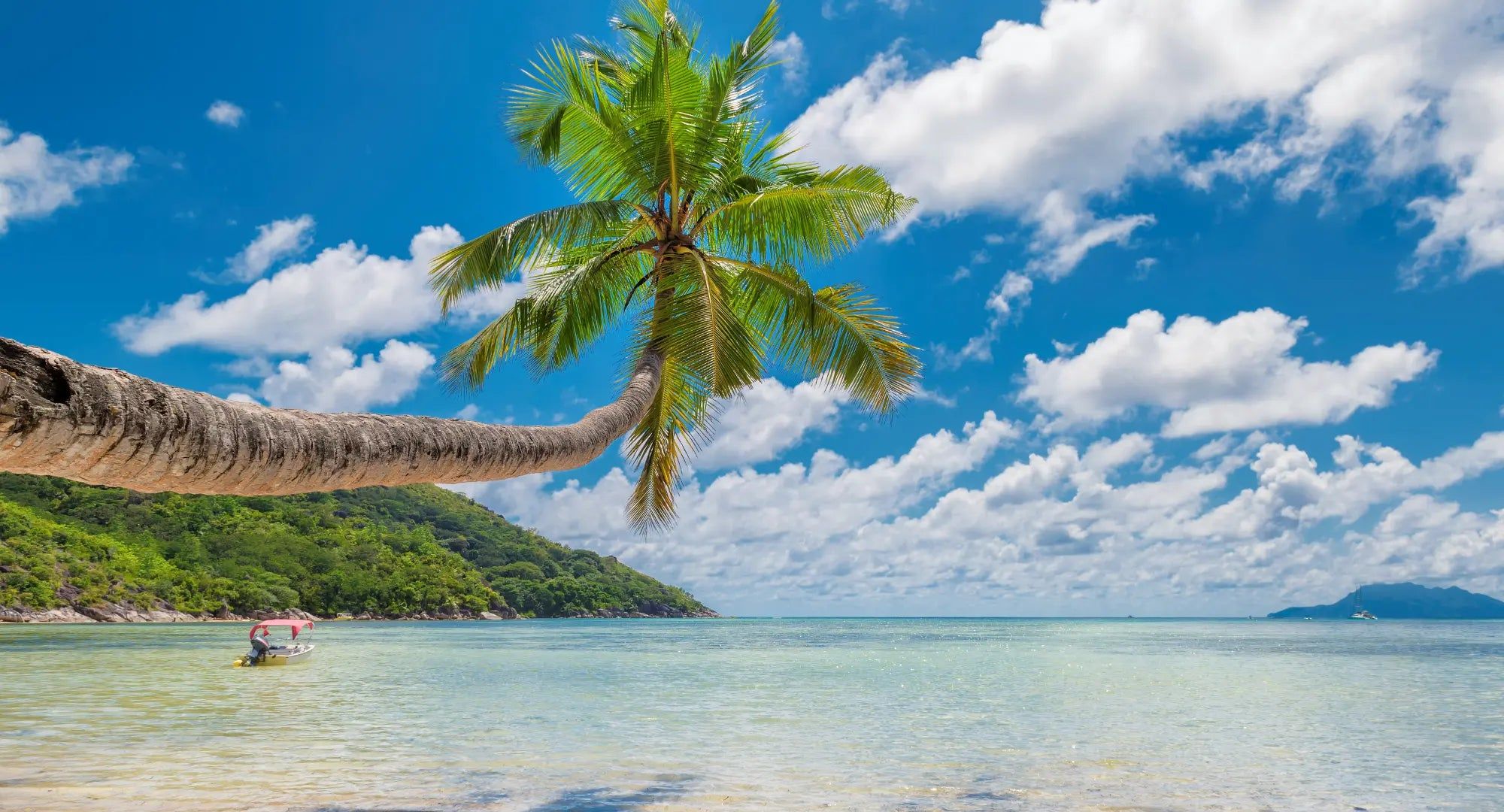 2000x1080 Goa in Summer: A Guide to the Perfect Tropical Getaway