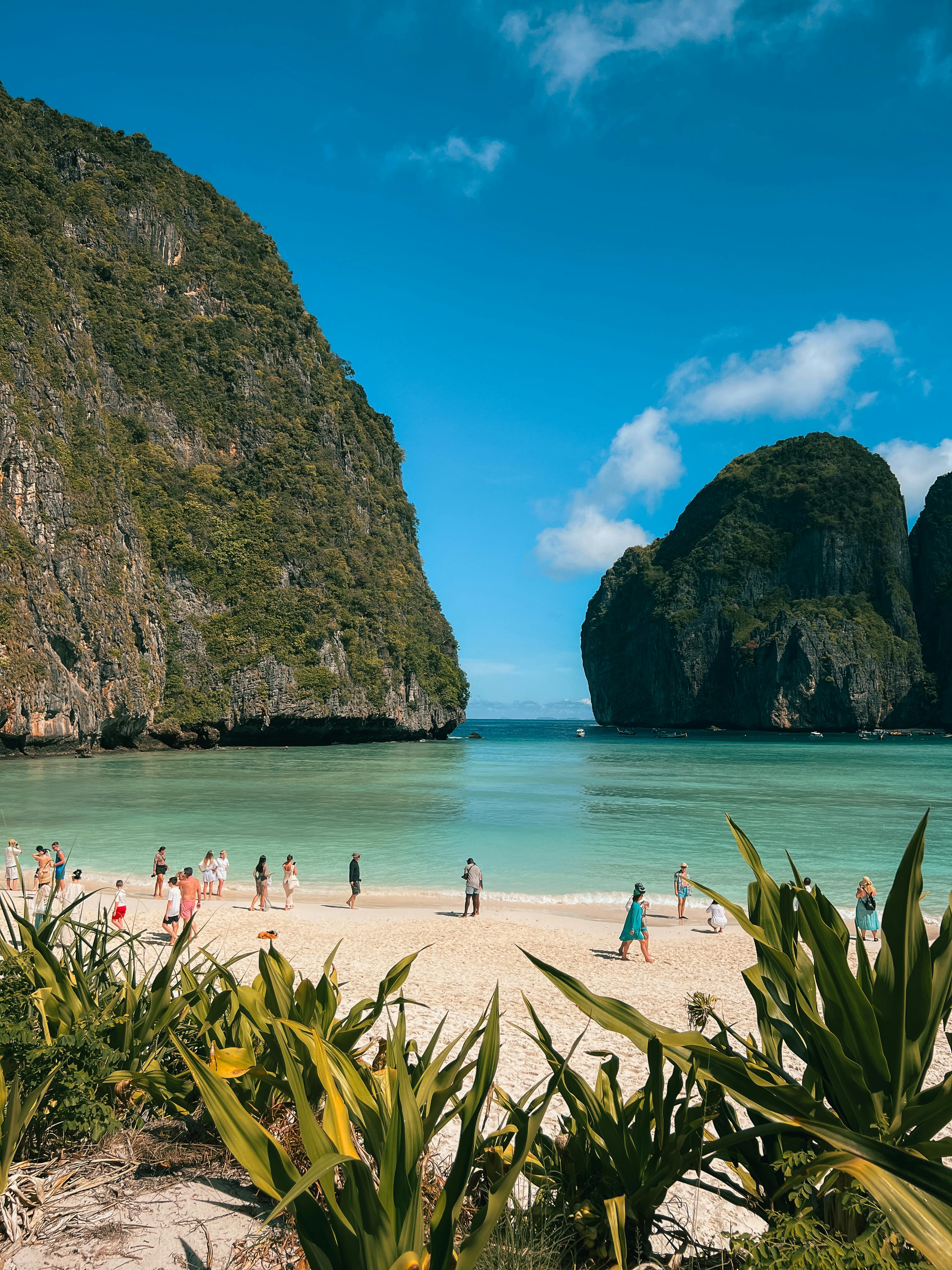 3024x4032 Phi Phi Island Photo, Download The BEST Free Phi Phi Island & HD Image