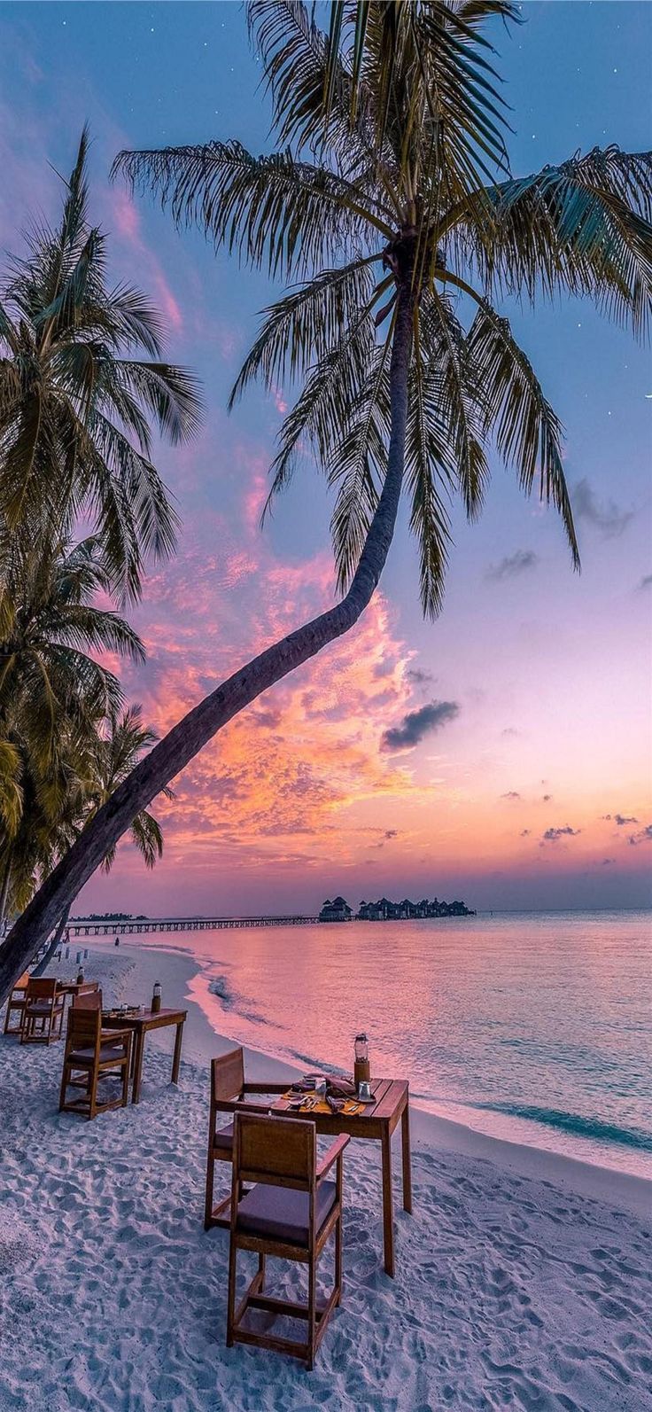 736x1593 Phi Phi Islands iPhone 11 Wallpaper