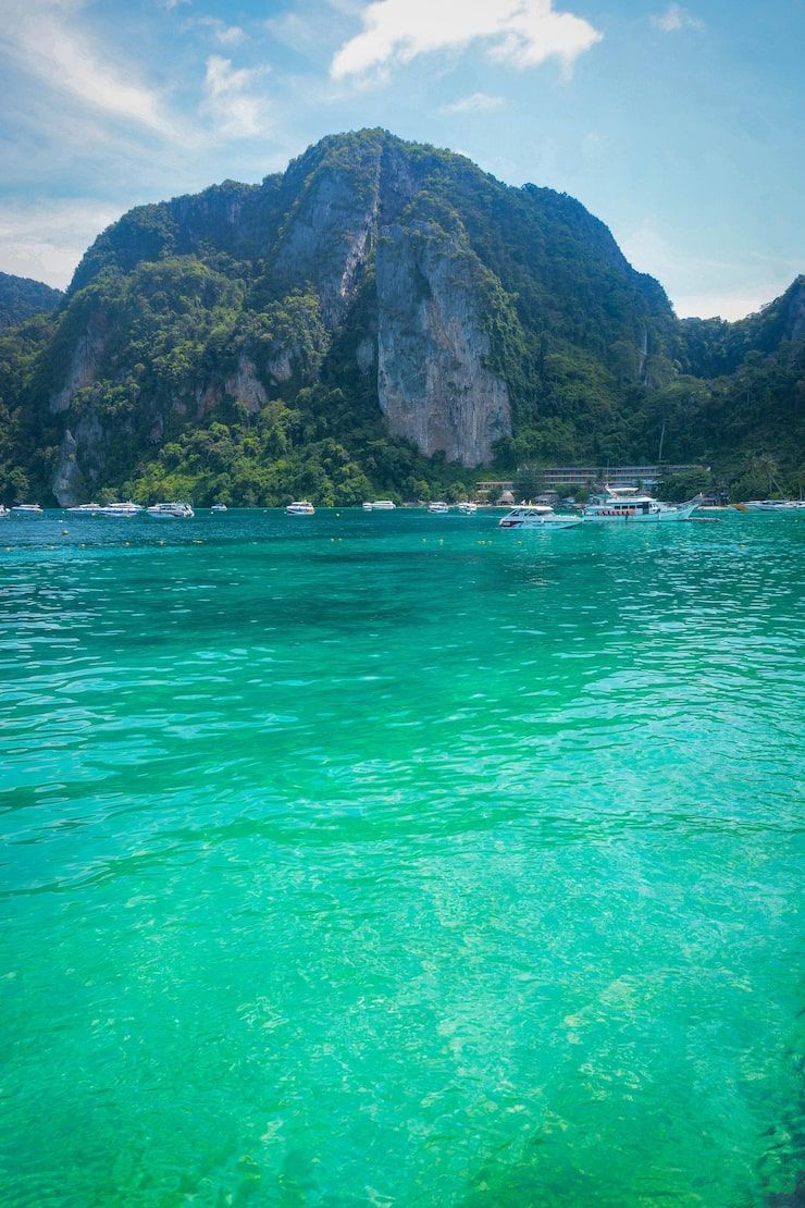 740x1110 Phi phi island Image