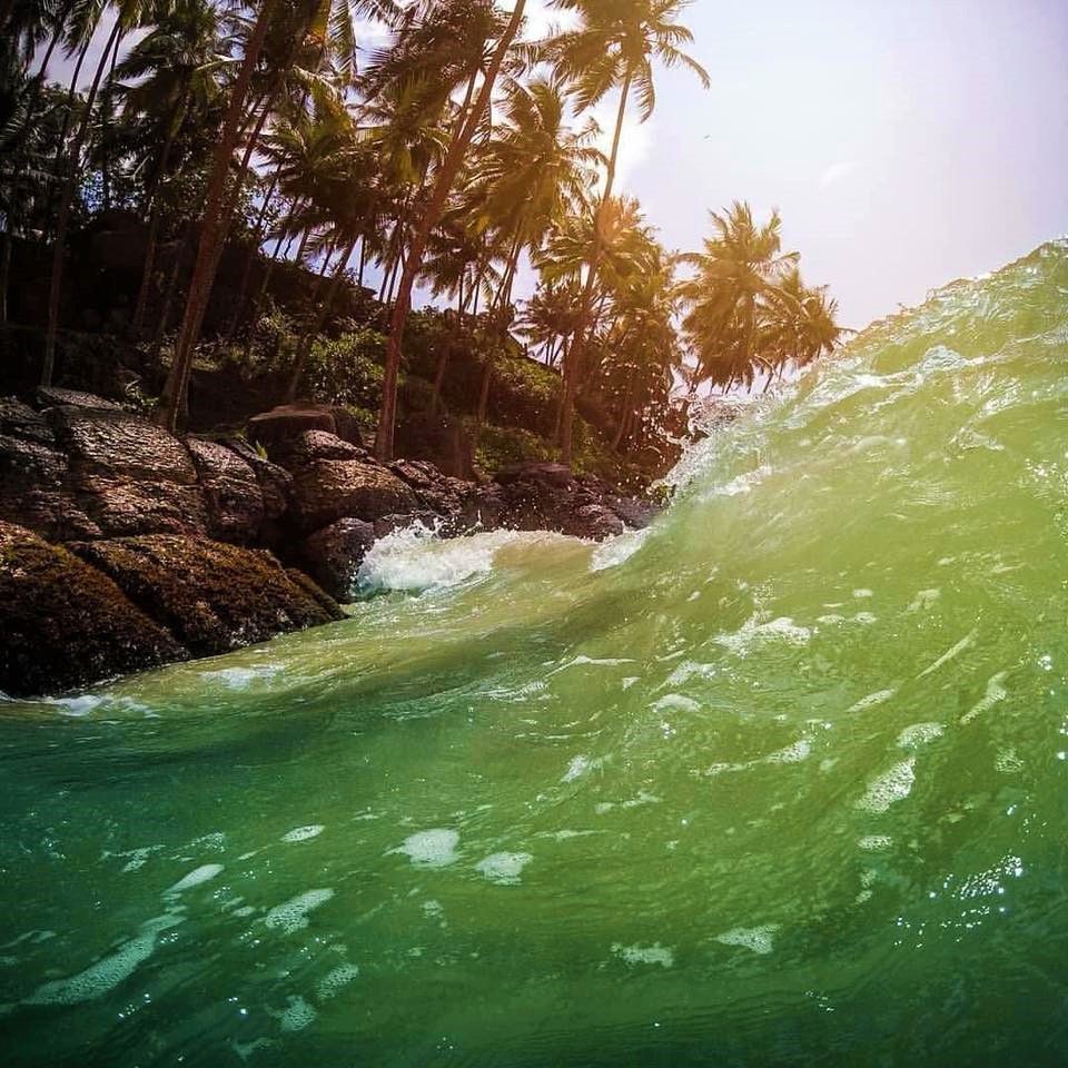 960x960 PrepMytrip, Tour, Explore, Discover Sri Lanka