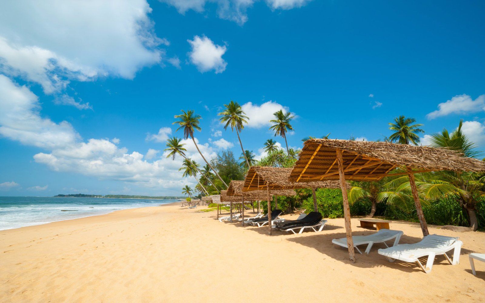 1600x1000 Sri Lanka Hikkaduwa Beach Golden Sandy Beaches Palm Trees Blue Waters Indian Ocean And The Bay Of Bengal HD Wallpaper 2560x1600 :