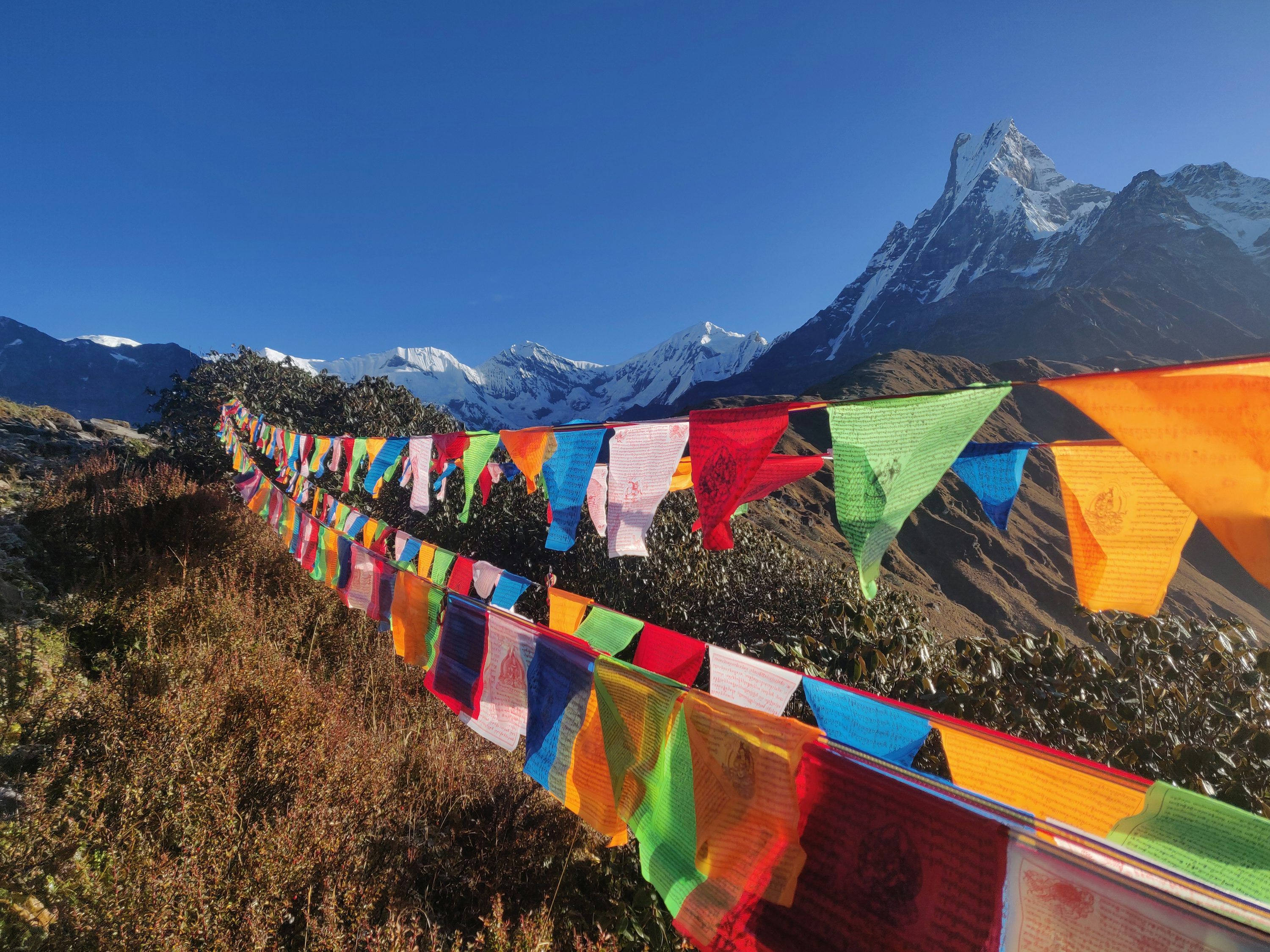 3000x2250 Prayer Flags Picture. Download Free Image
