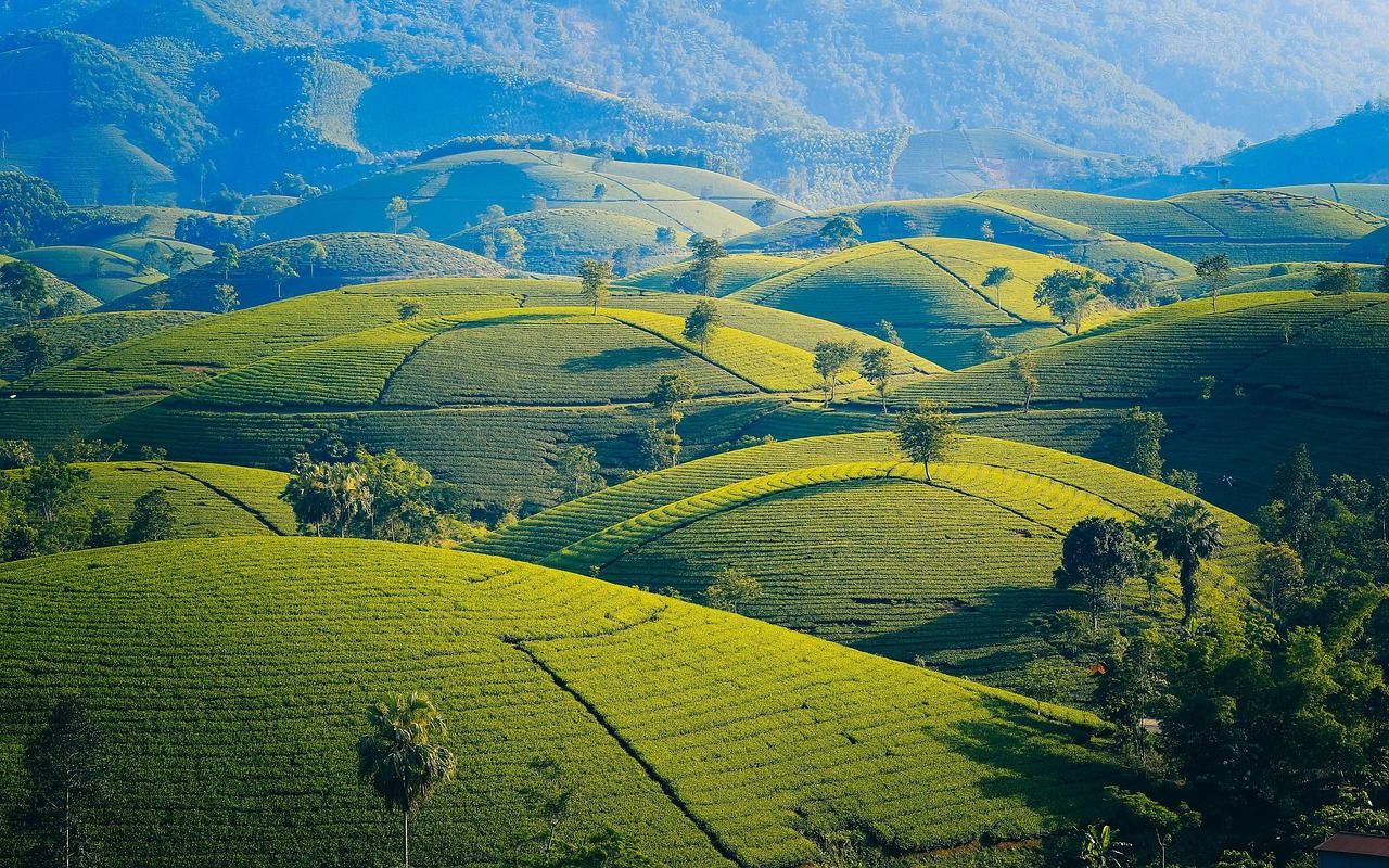1280x800 Free Hill Wallpaper & Nature Image