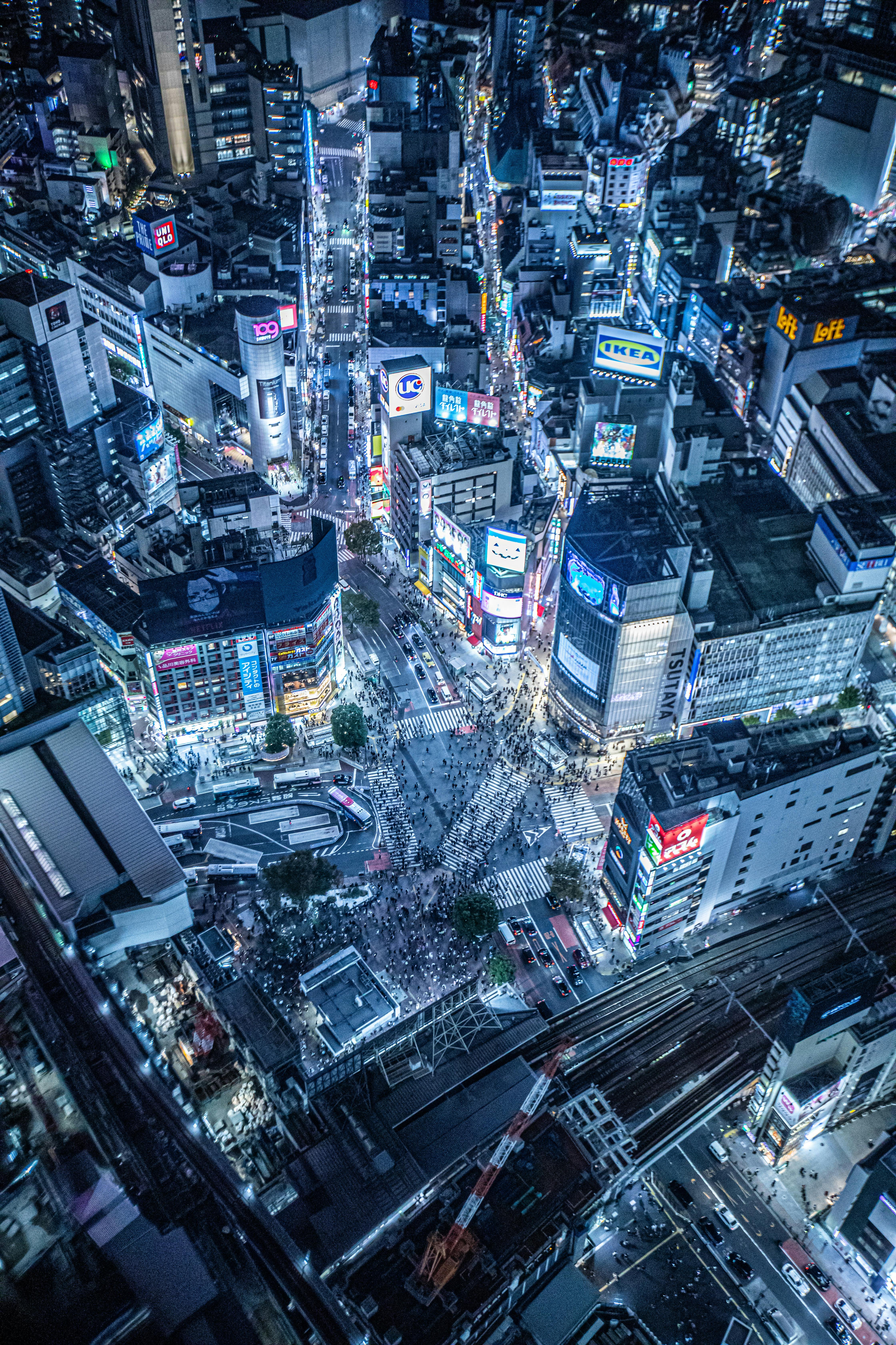 4480x6720 Shibuya Photo, Download The BEST Free Shibuya & HD Image