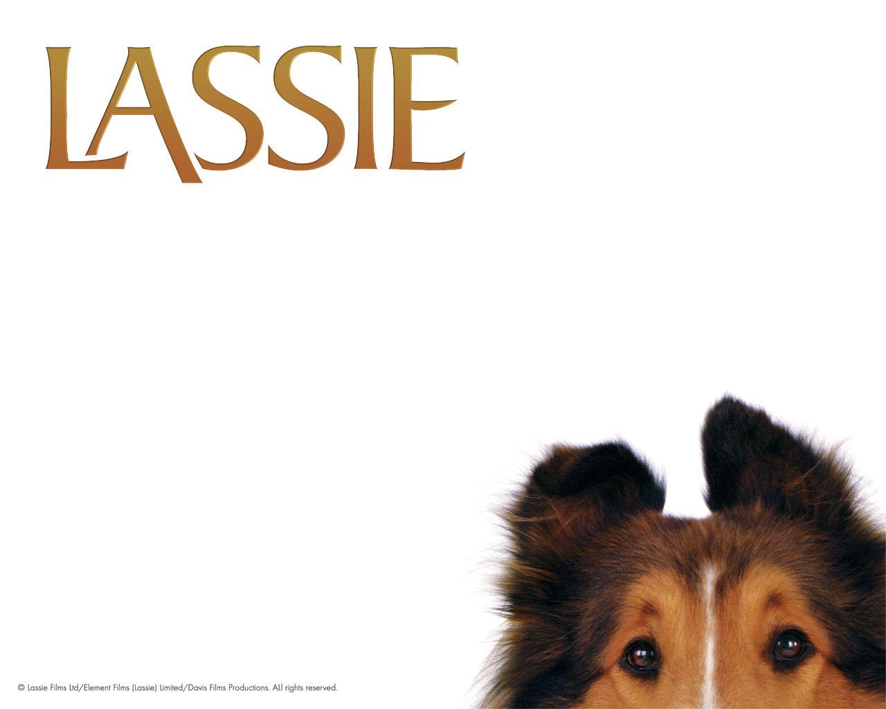 1280x1024 Lassie TV Show Wallpaper
