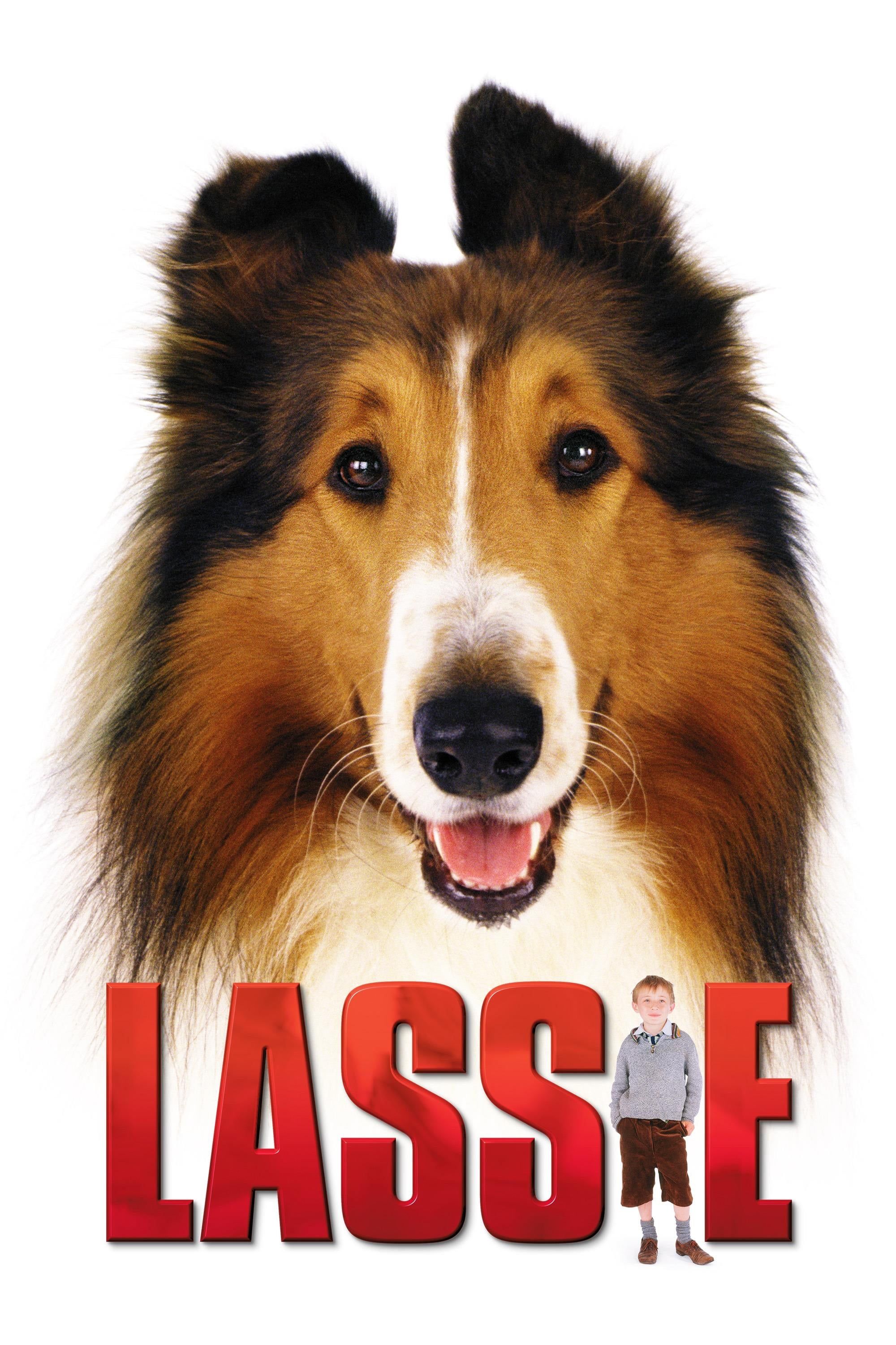 2000x3000 Lassie (2005)