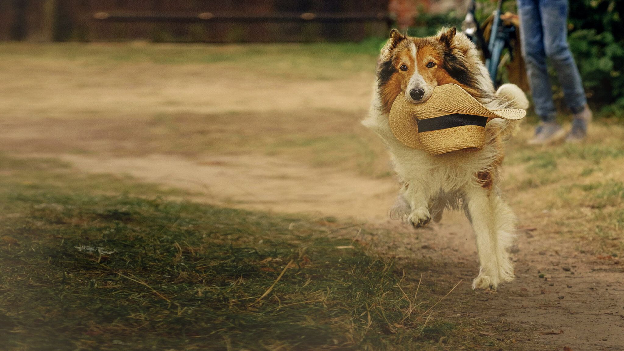 2048x1152 Watch Lassie: A New Adventure