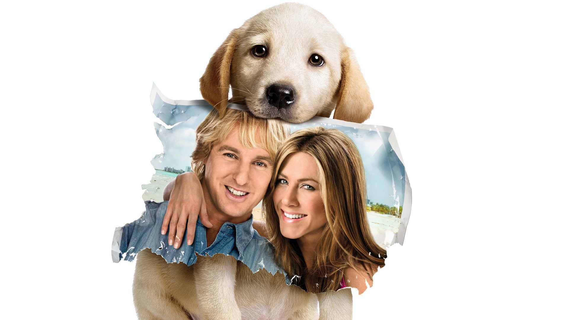 1920x1080 Marley & Me HD: Labrador Puppy with Hollywood Duo