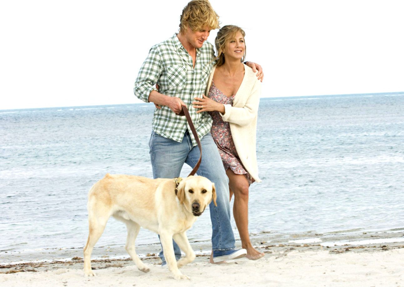 1292x916 Marley And Me The Puppy Years Wallpaper