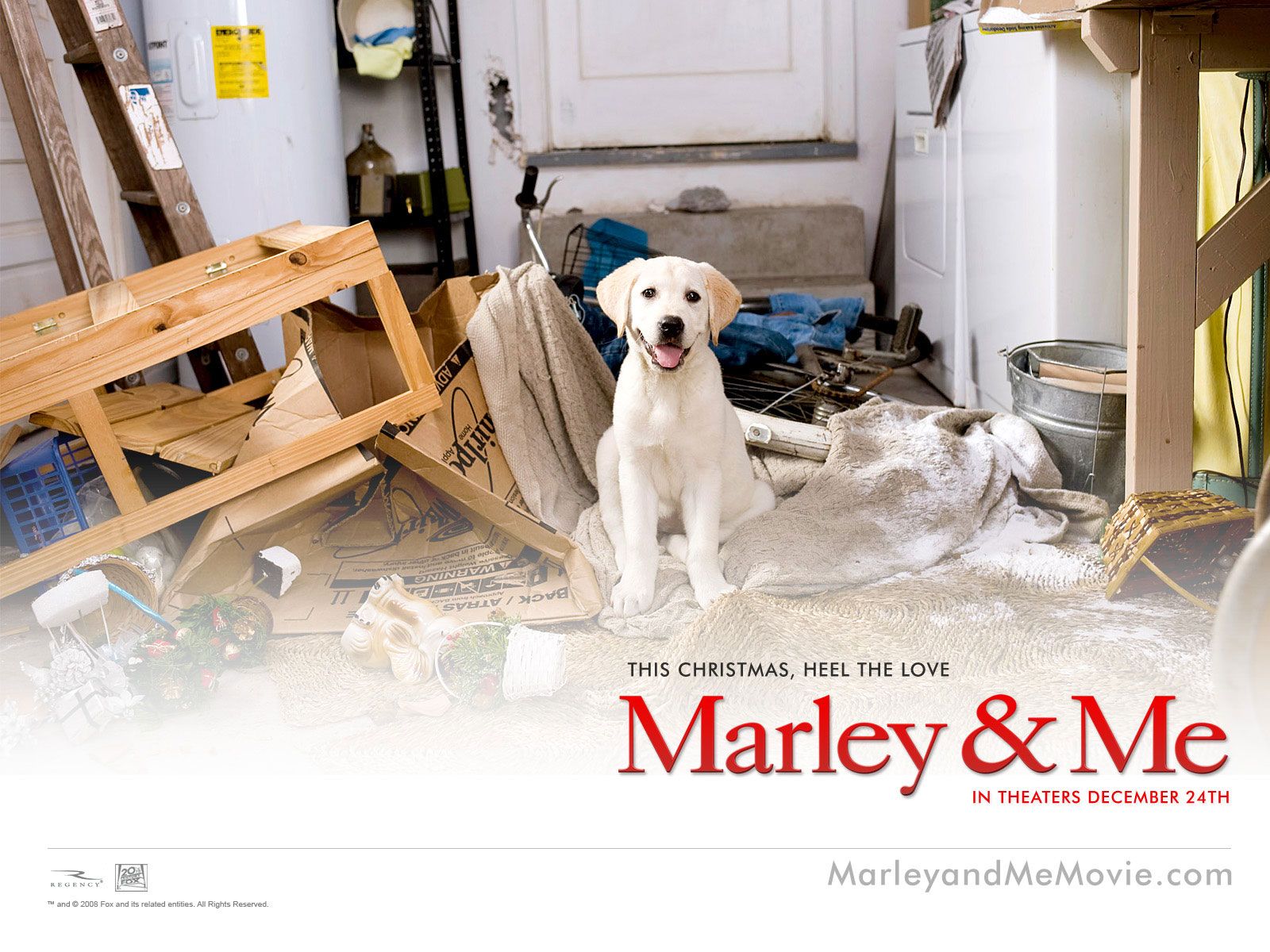 1600x1200 Marley And Me Wallpaper