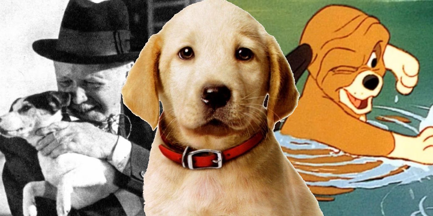 1400x700 The 25 Saddest Dog Movies Of All Time (For When You Need A Good Cry)