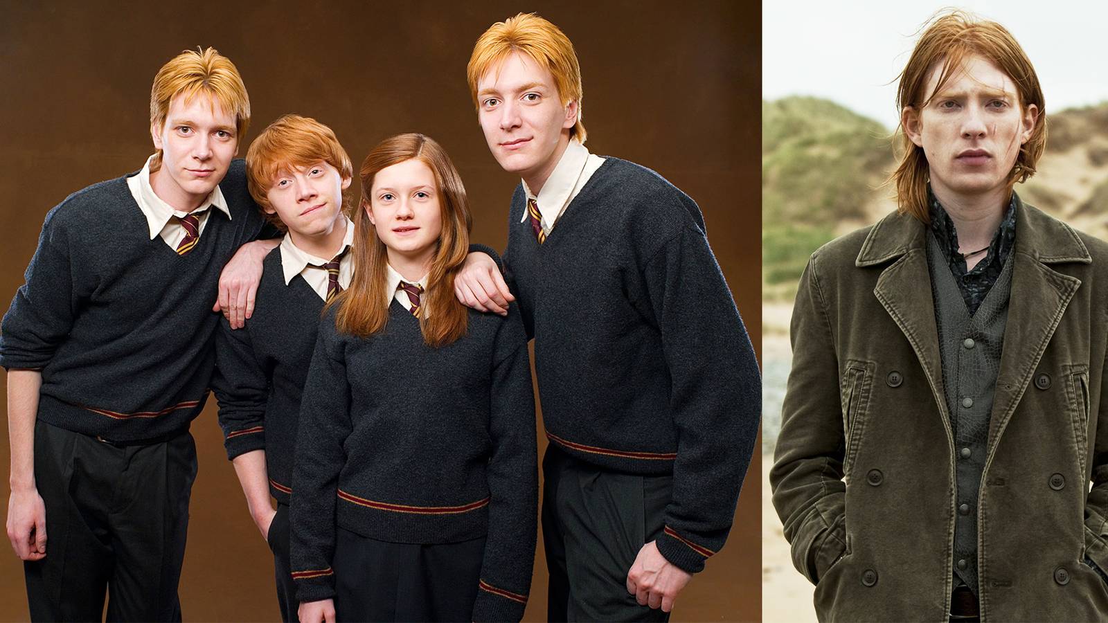 1600x900 Harry Potter: The Weasley Siblings, Ranked By Likability