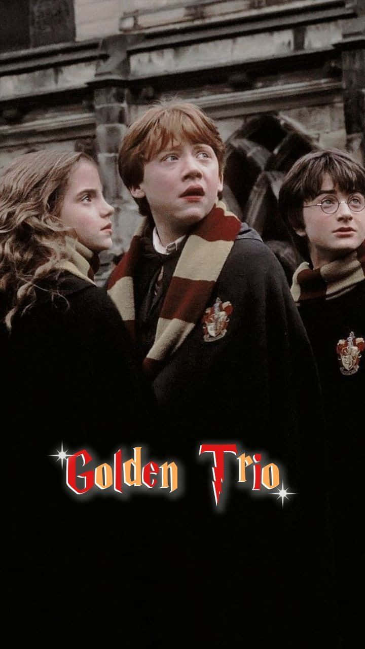 720x1280 Download Harry Potter and the Golden Trio: Harry Potter, Ron Weasley, and Hermione Granger Wallpaper