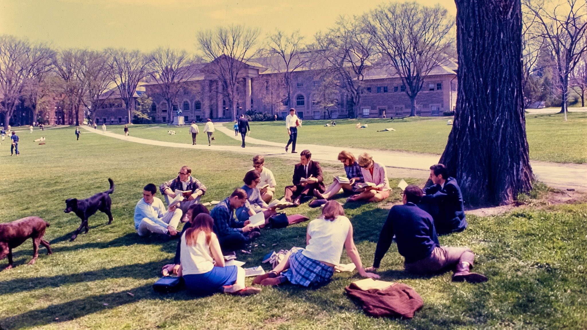 2048x1152 Vintage Color Slides Bring East Hill's Past to Vivid Life
