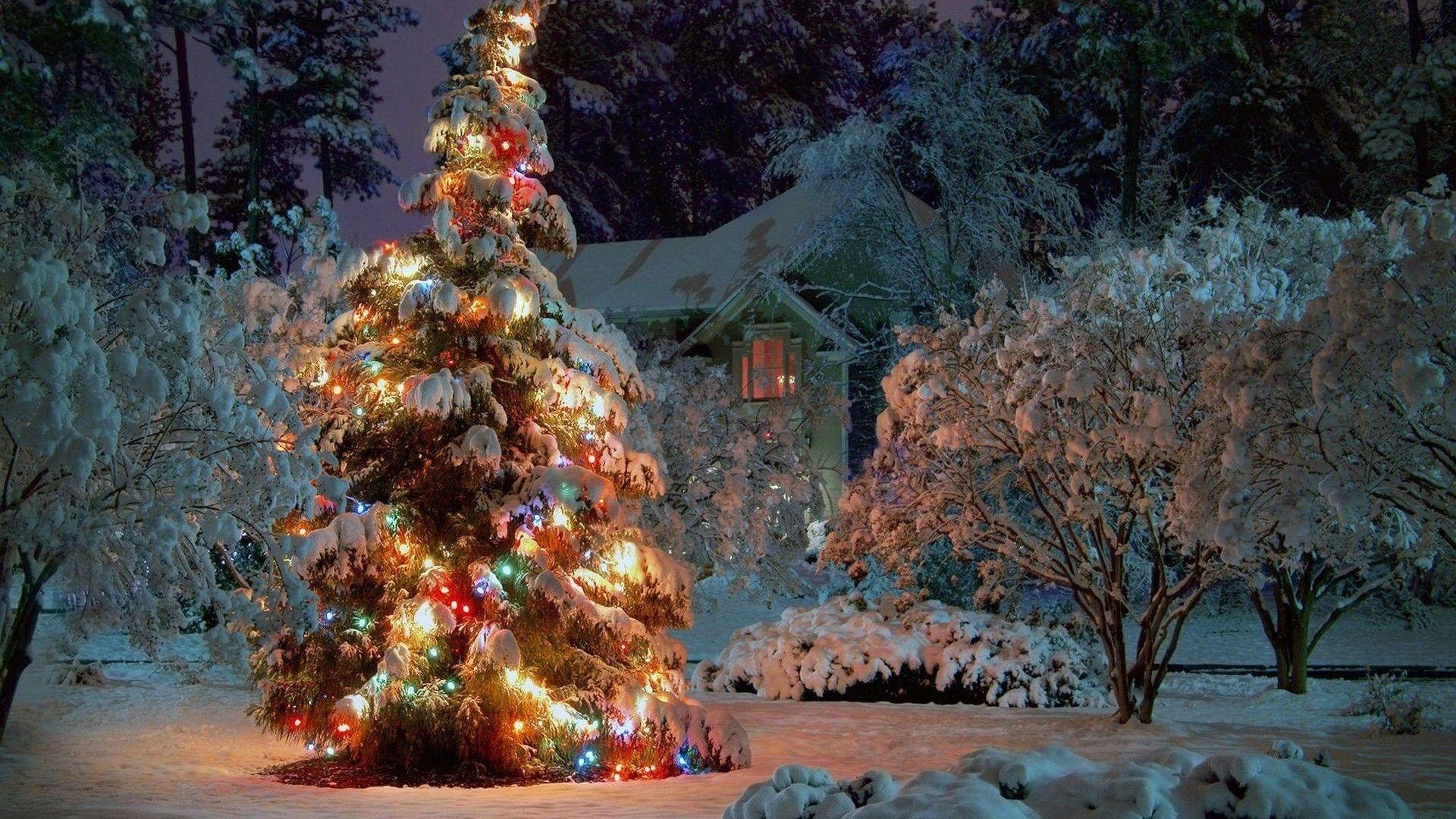 1920x1080 Cozy Christmas Wallpaper 1920x1080
