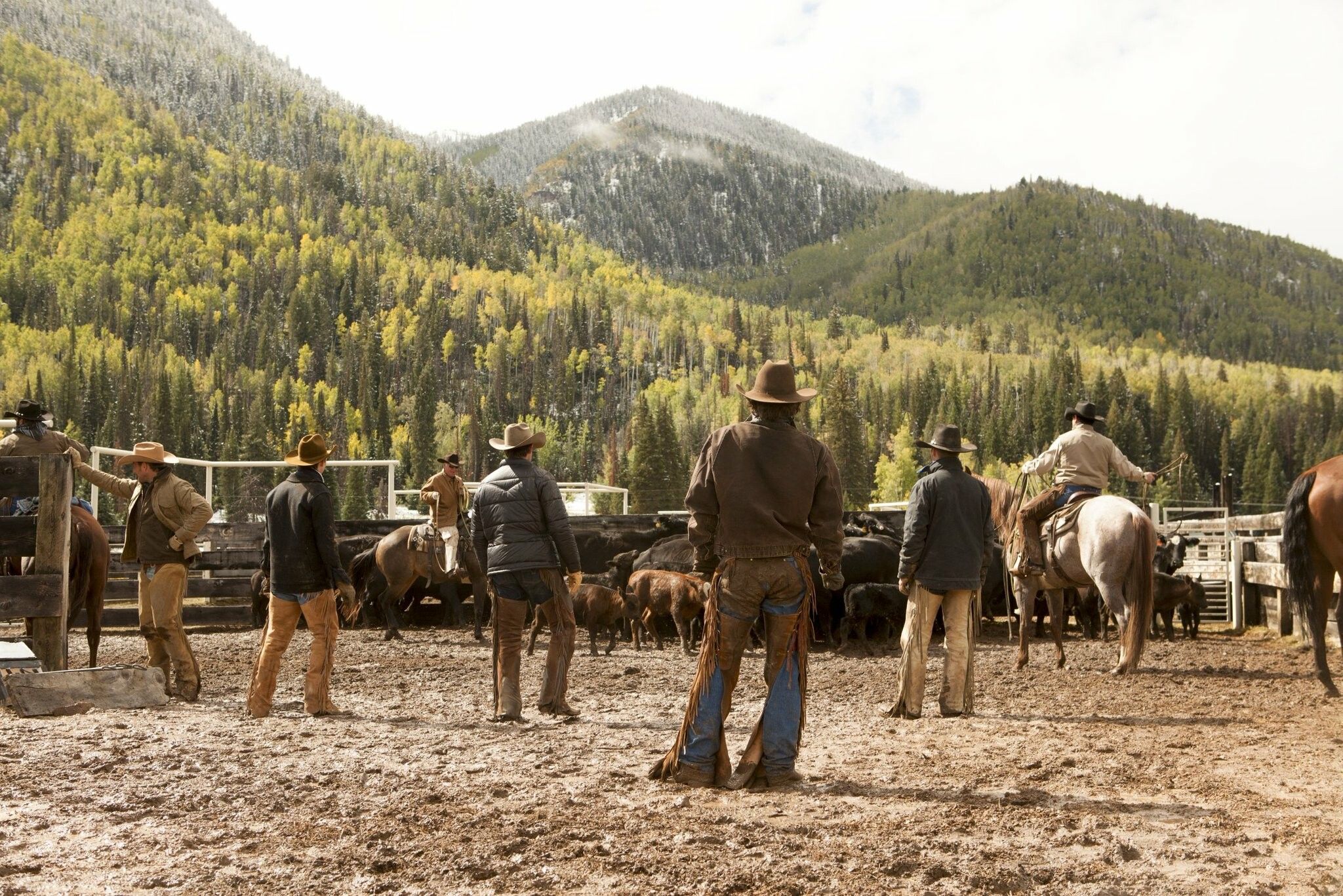 2048x1366 Yellowstone (TV Series) Wallpaper
