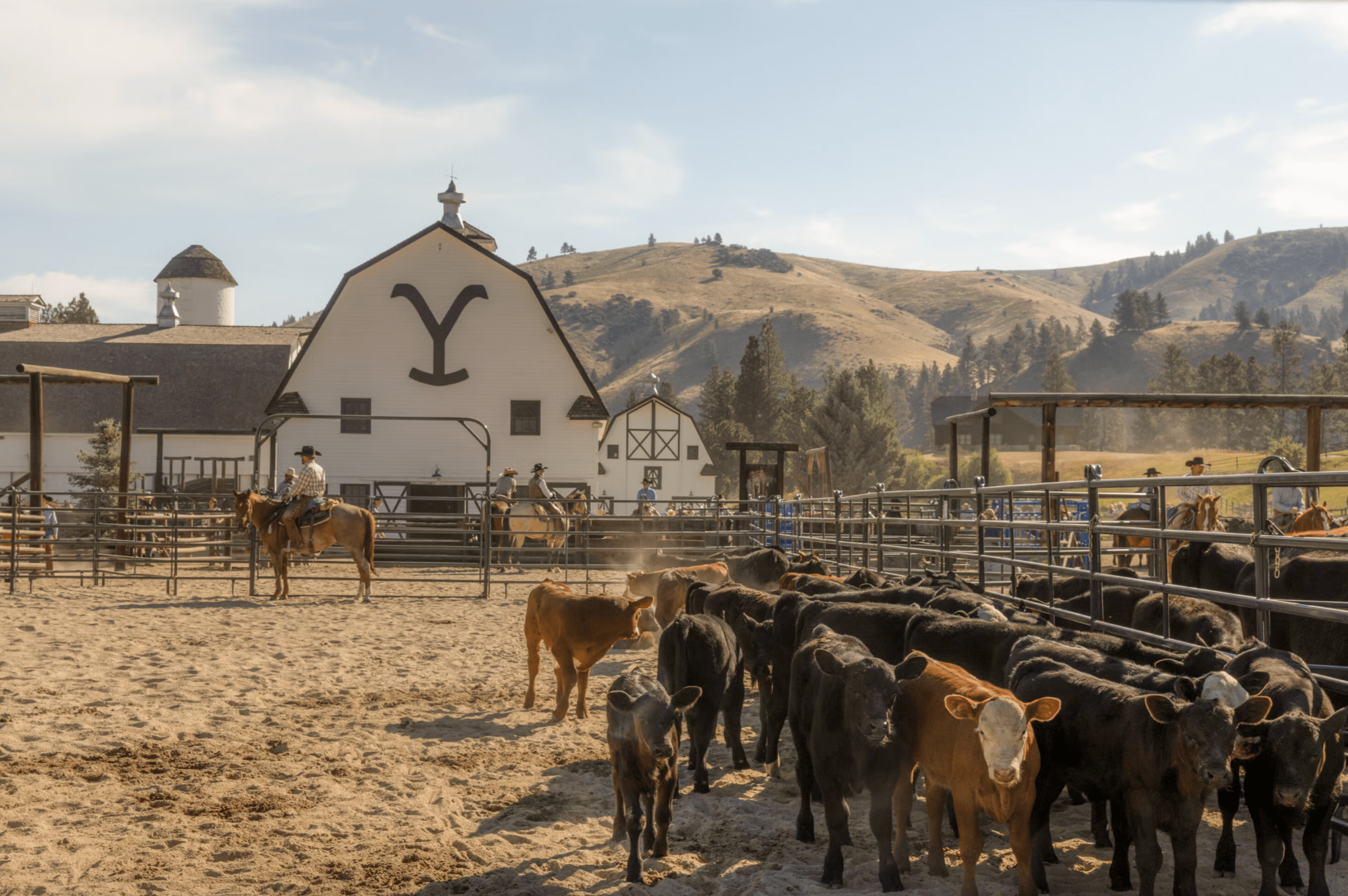 2500x1662 Kelly Reilly’s Guide to Montana, Style and 'Yellowstone'