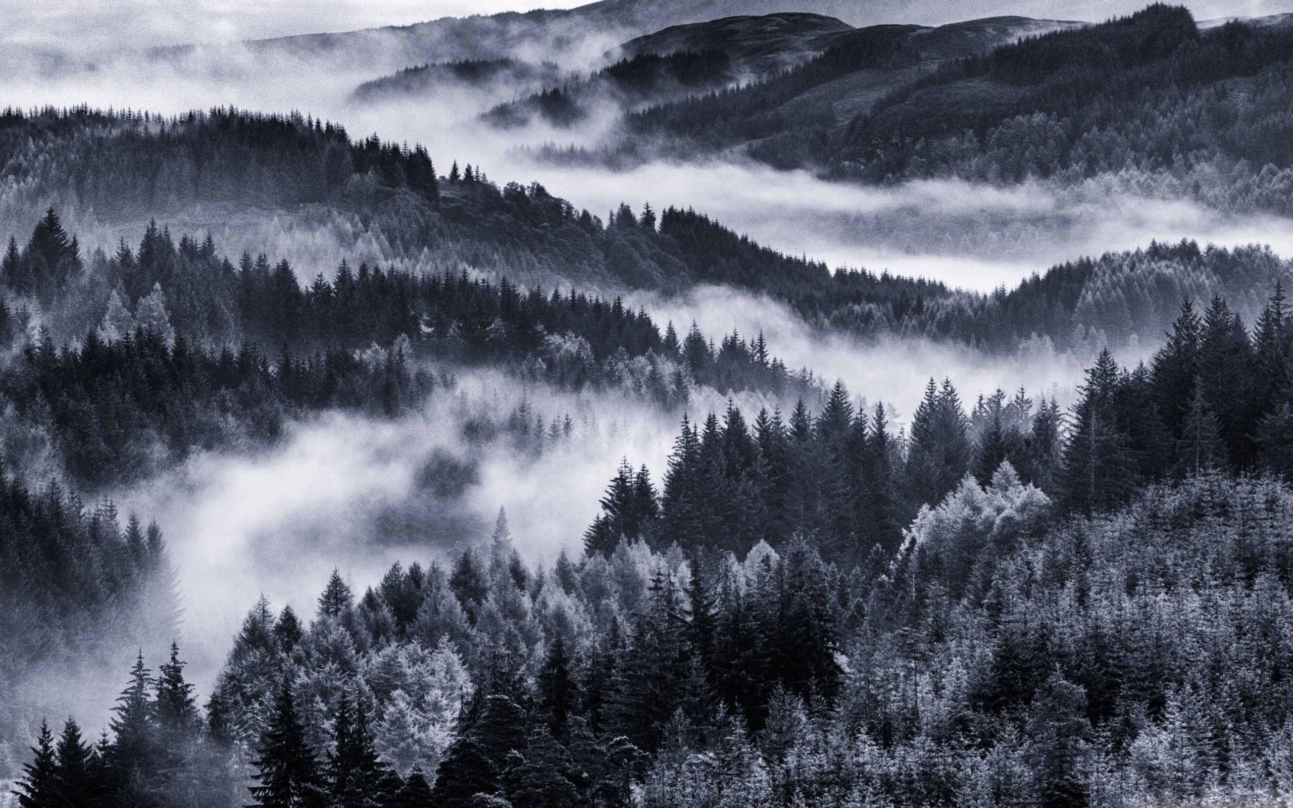 18 Stunning HD Mist Wallpapers