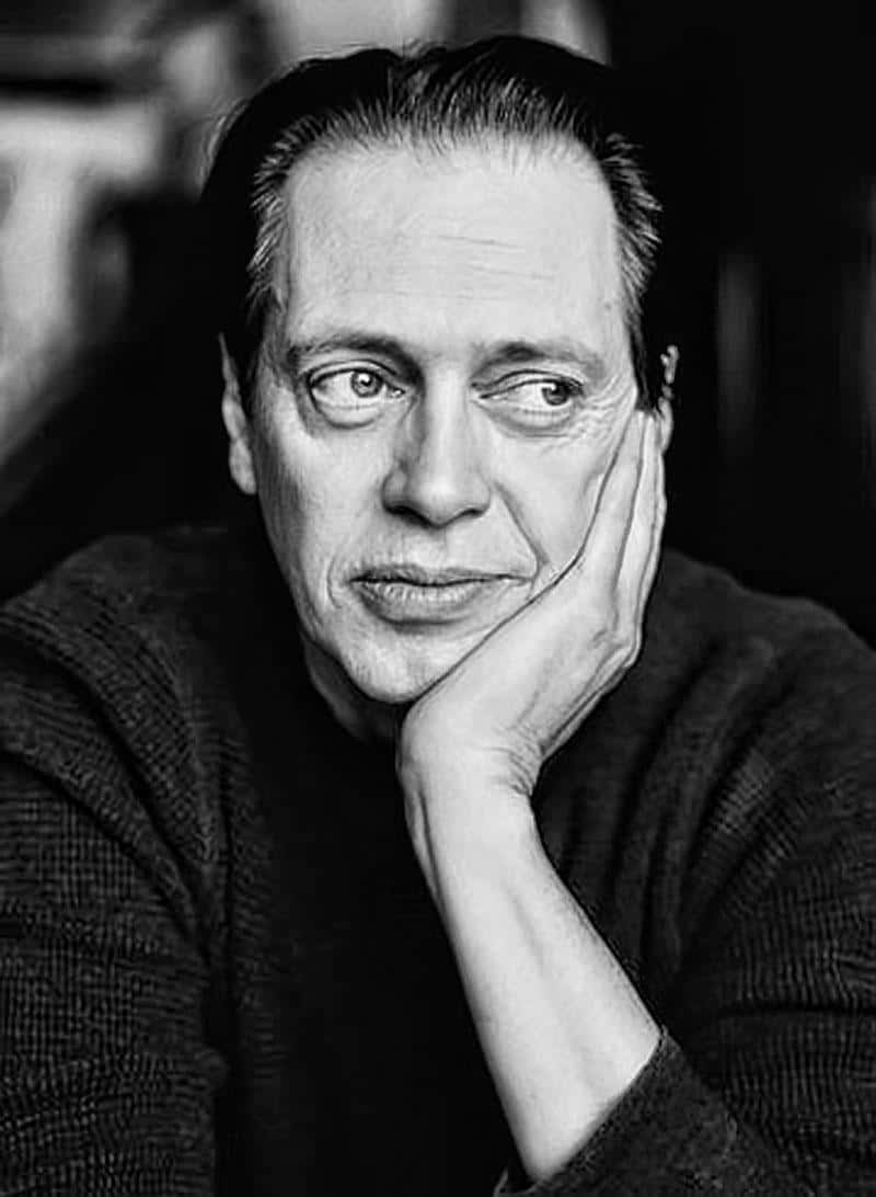 800x1092 Download Actor Steve Buscemi Wallpaper
