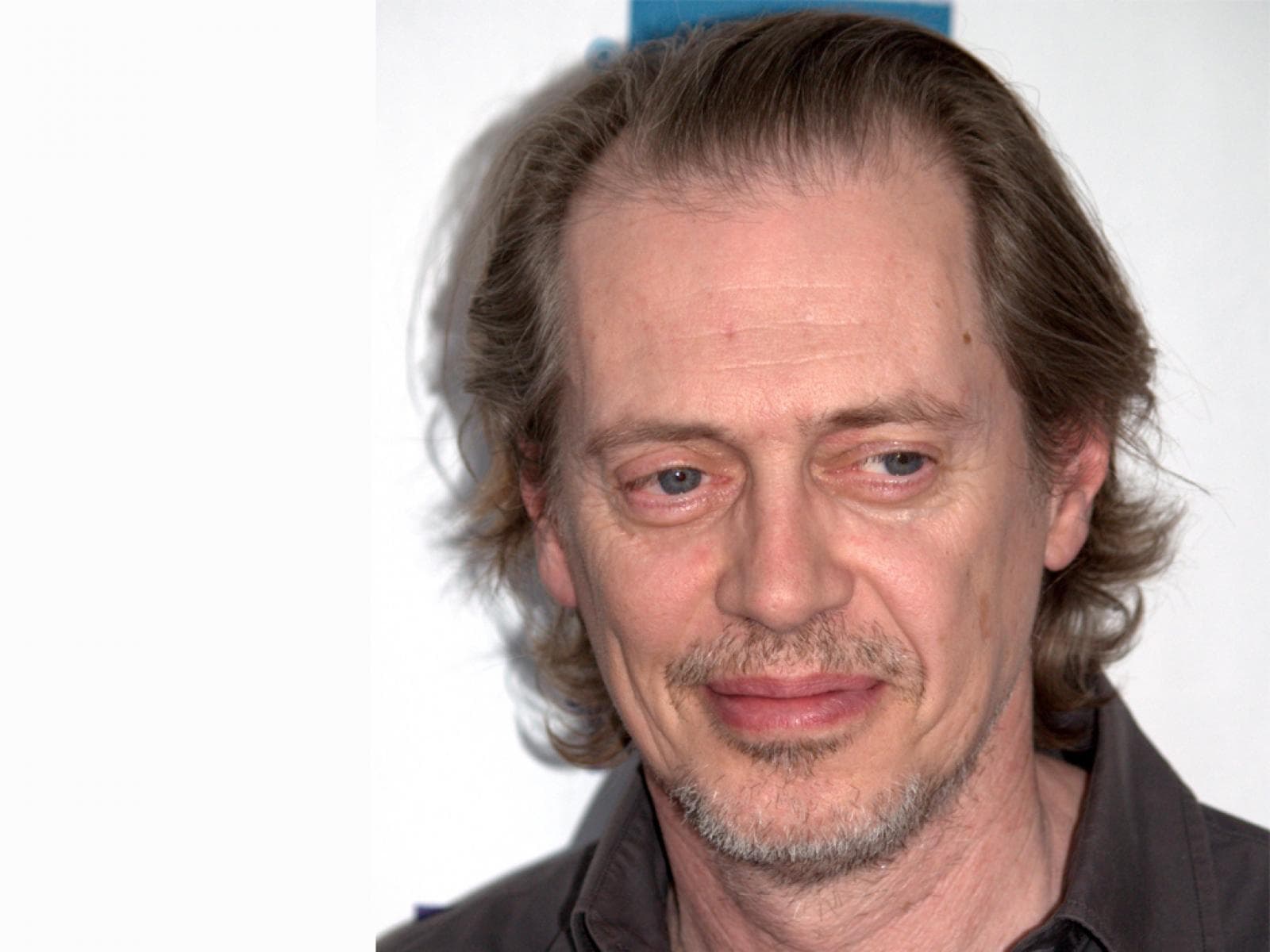 1600x1200 Steve Buscemi Wallpaper