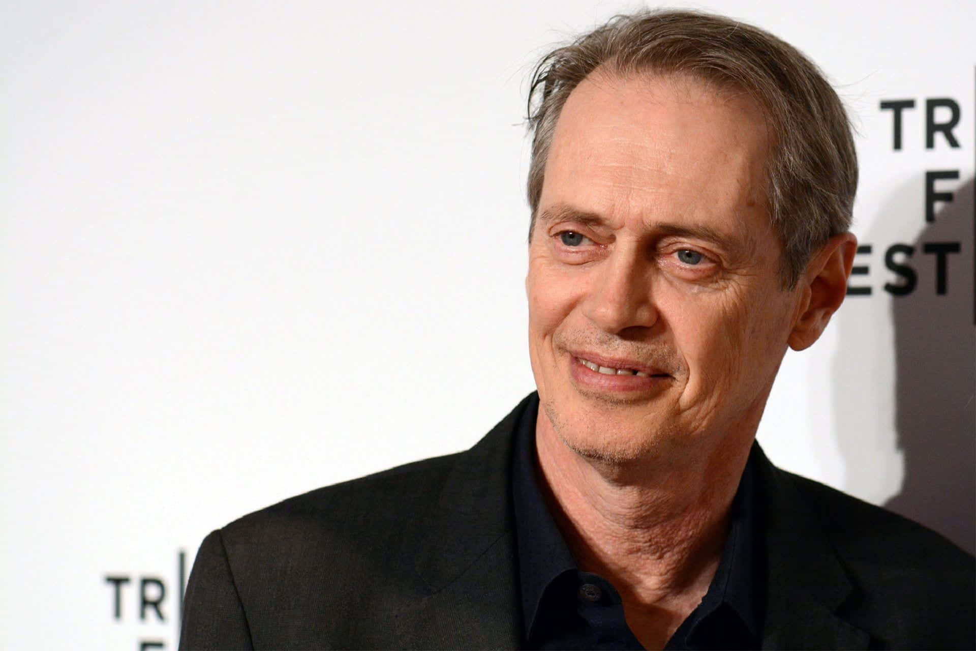 1920x1280 Steve Buscemi HD Wallpaper (100++)