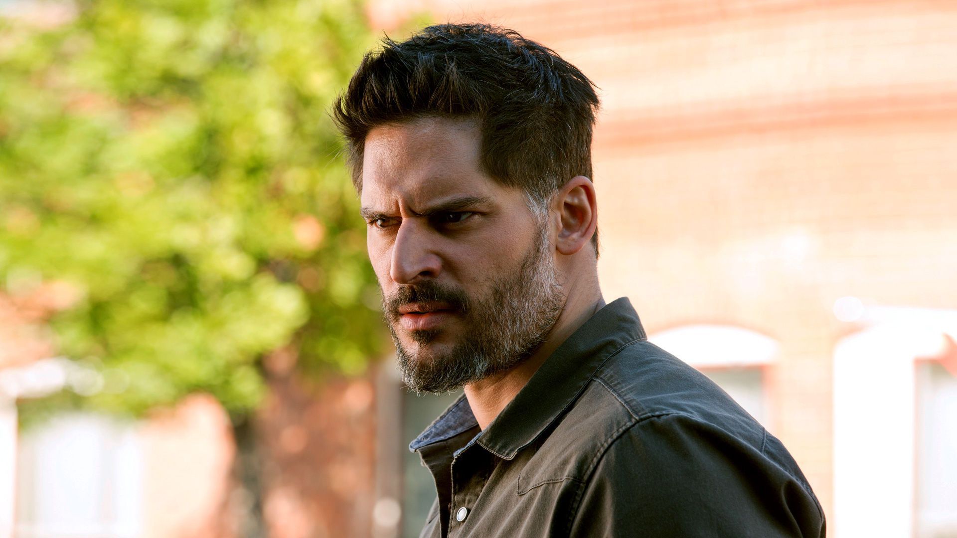 1920x1080 Dwayne Johnson's Rampage Lines Up Joe Manganiello & Marley Shelton