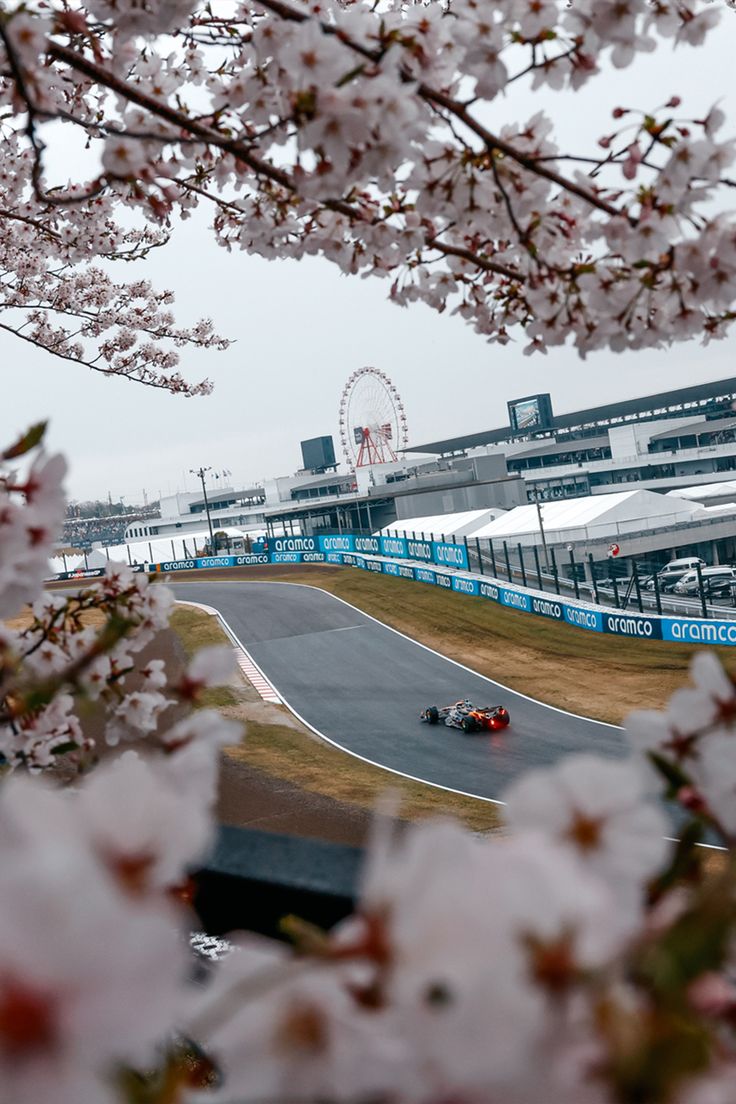 736x1104 Quick Saves. Spring wallpaper, Aesthetic japan, Imola