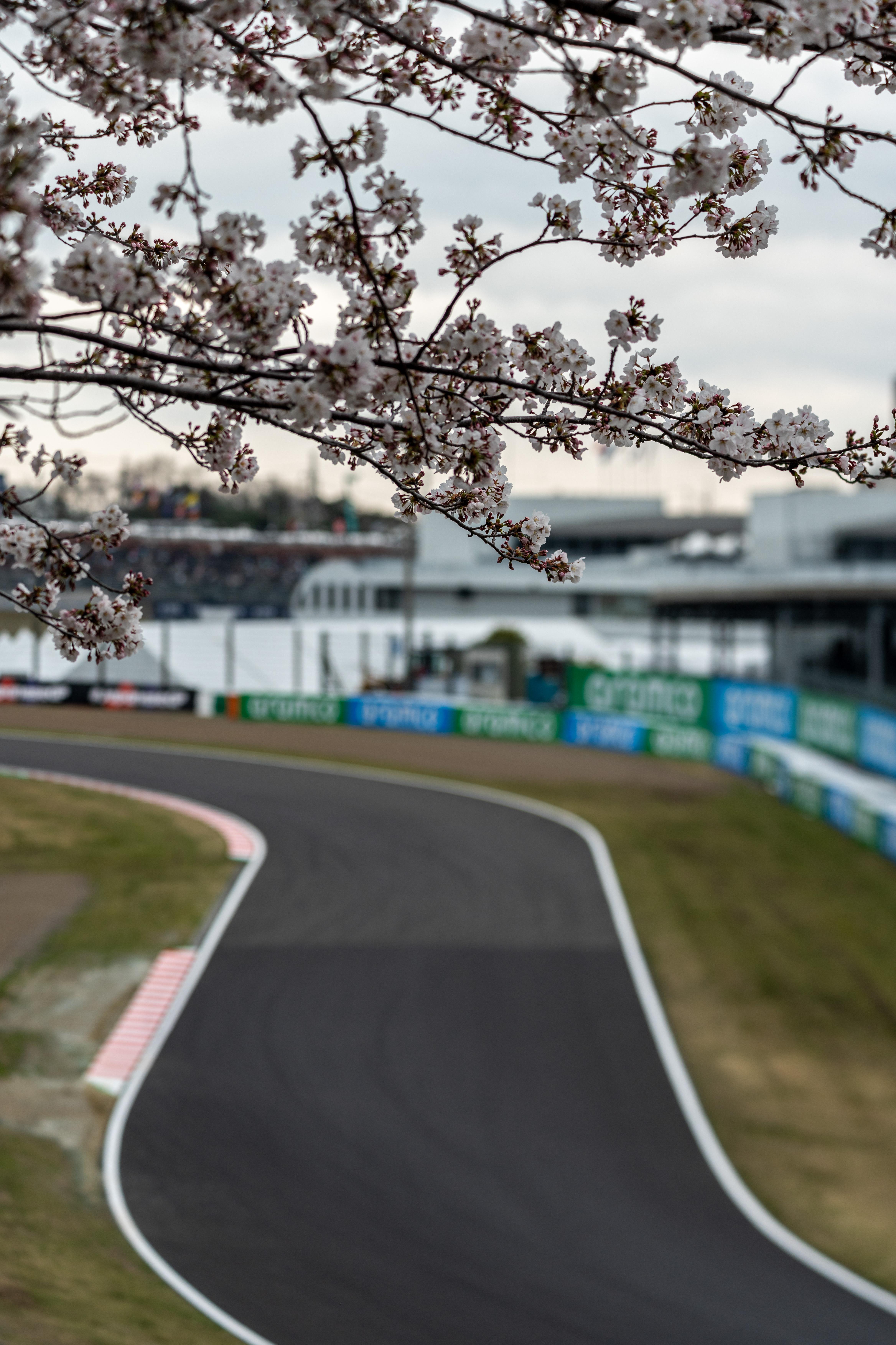 4672x7008 Photos at Suzuka with [CDEM, hairpin] photographer tickets