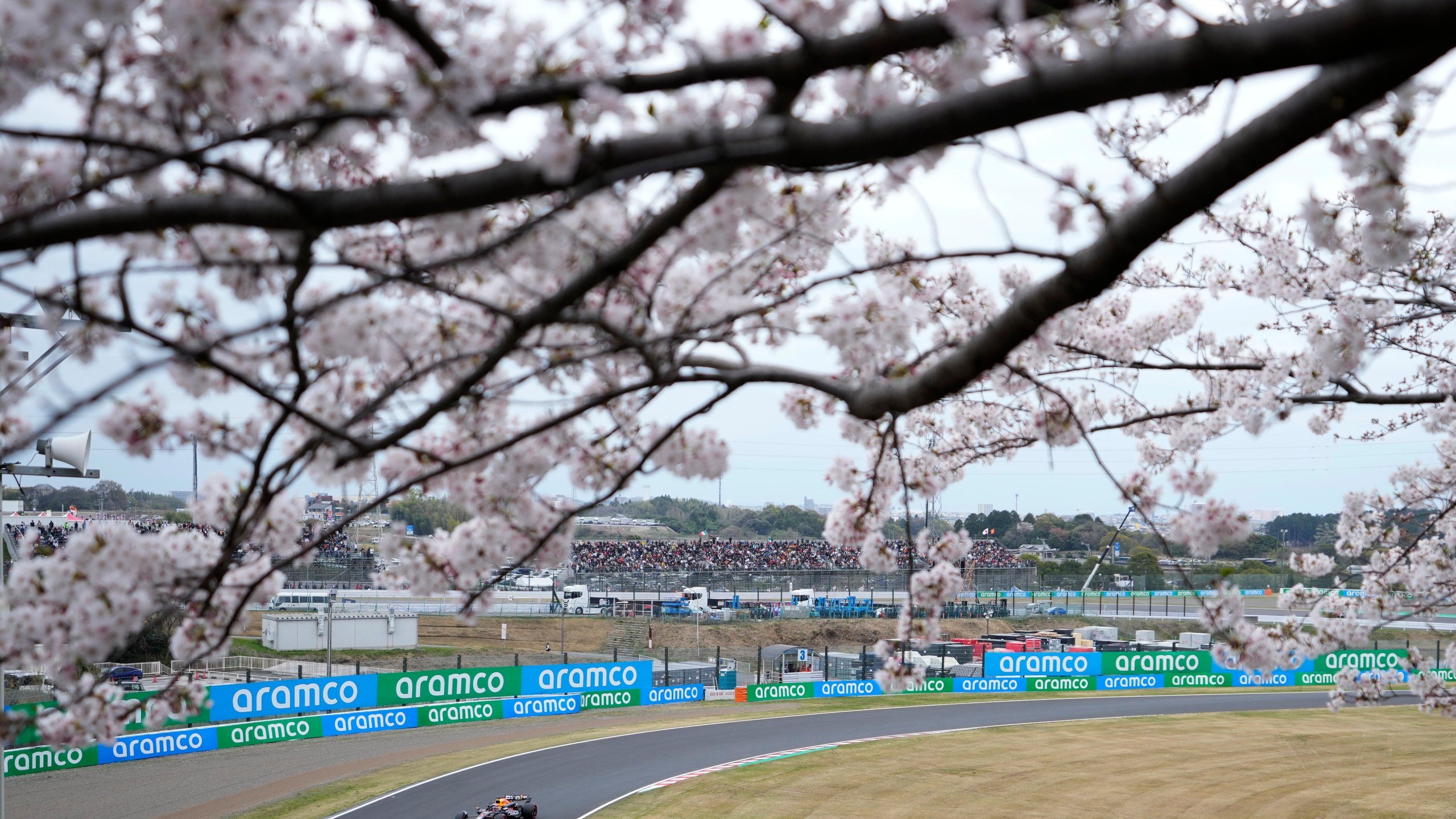 2560x1440 Crowds picnic to see Tokyo's cherry blossoms at full bloom