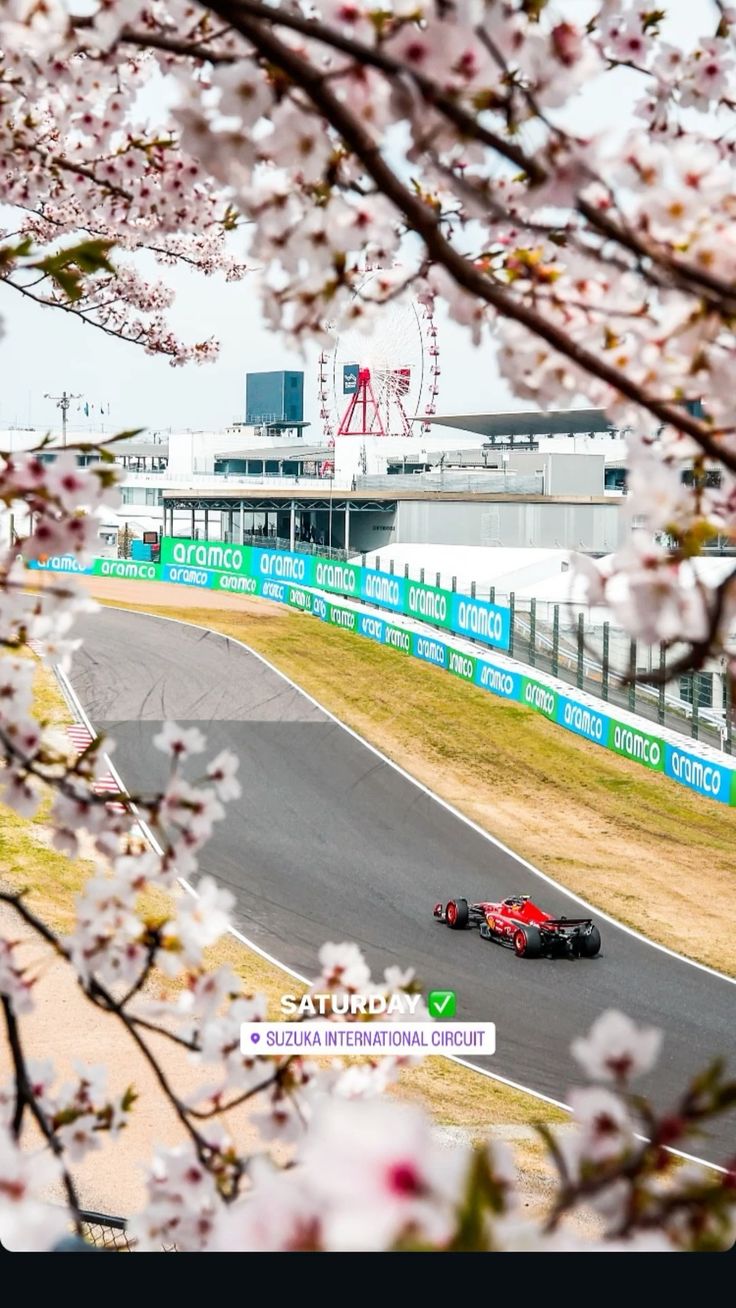 736x1308 Cherry blossoms #f1#suzuka circuit#ferrari#carlos sainz