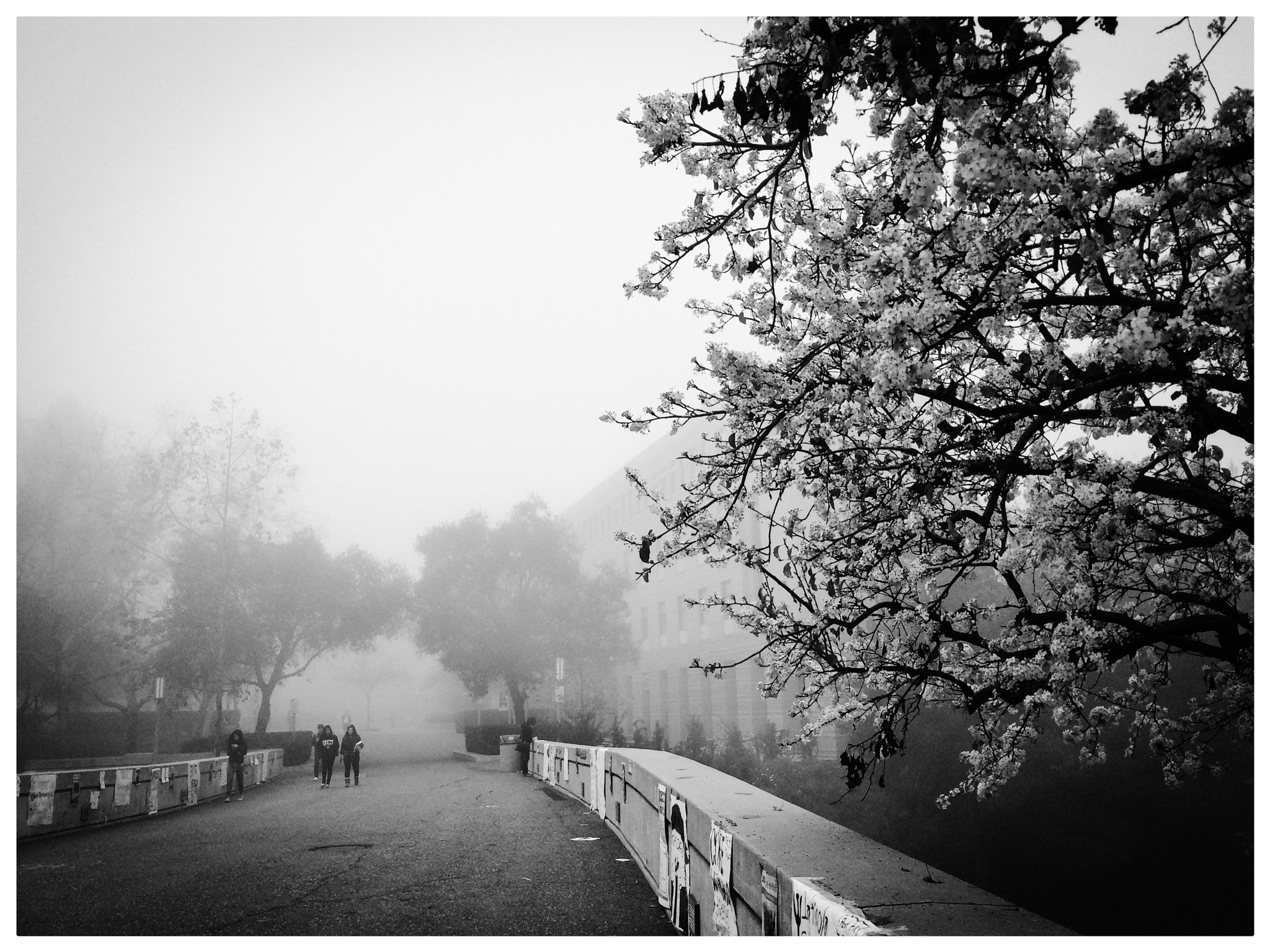 2048x1536 Uc Irvine Campus.jpeg