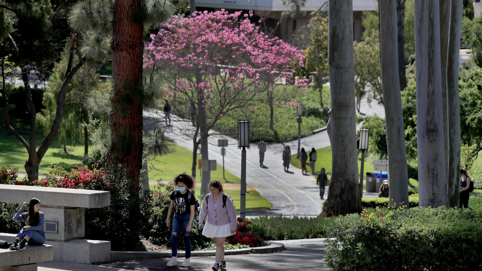 1920x1080 UC Irvine Students Hospitalized After Hackers Sent Disgusting Image to Their Discord Server