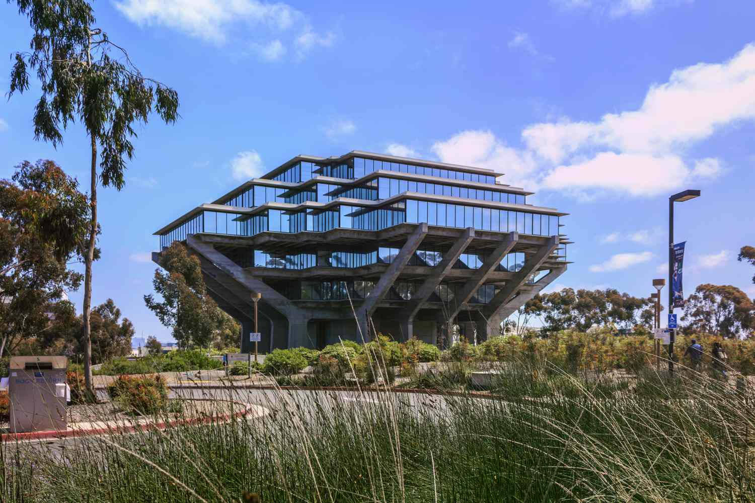 1500x1000 Ucsd Wallpaper