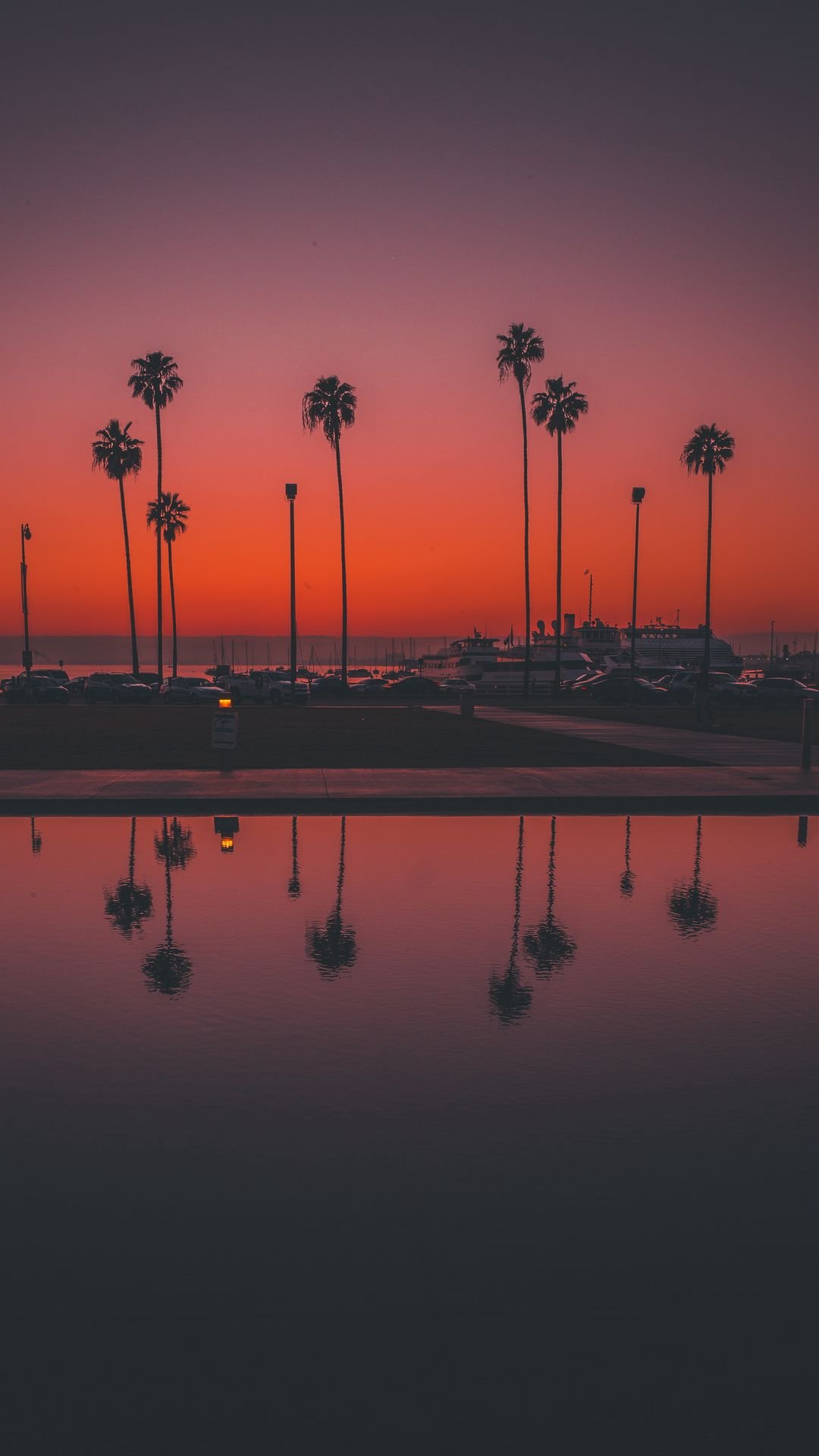 1080x1920 Download wallpaper 1080x1920 palms, sunset, san diego, usa, reflection samsung galaxy s s note, sony xperia z, z z z htc one, lenovo vibe HD background
