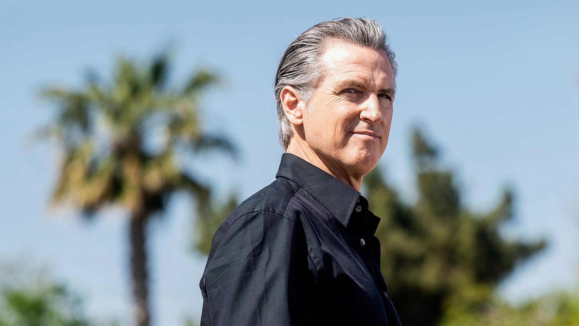 1920x1080 Here's All The Vineyards, Restaurants And Properties In Which Gavin Newsom Owns Stakes