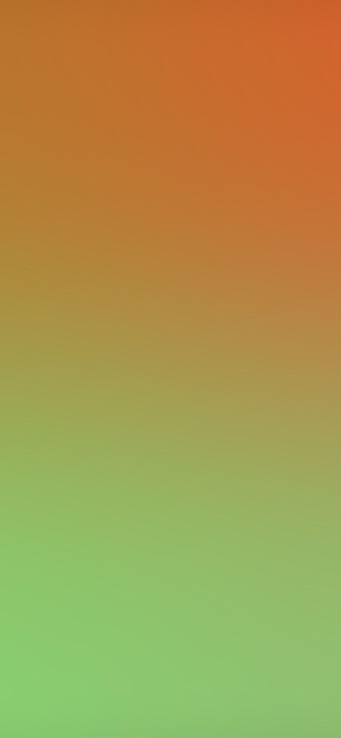 1125x2436 Orange Green Day Dream Blur Gradation Wallpaper
