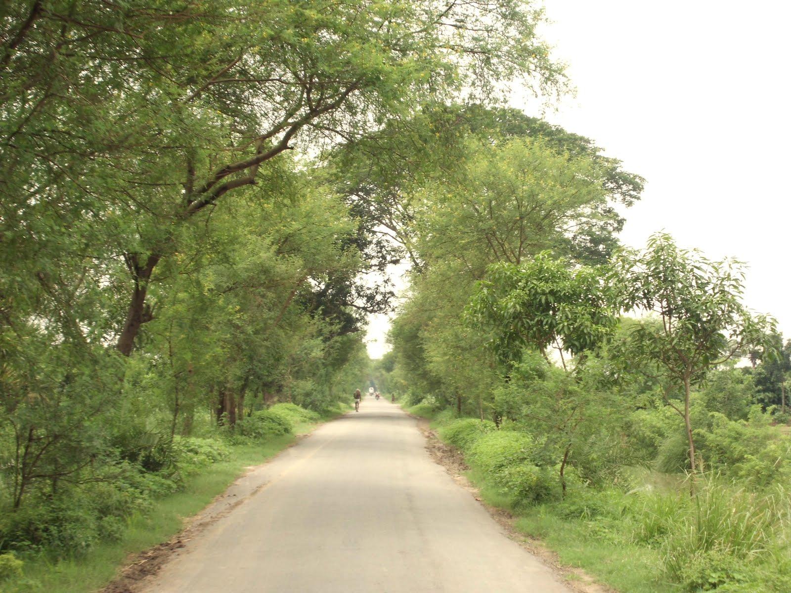 1600x1200 Hình nền thiên nhiên của Bangladesh: Hình nền thiên nhiên với đường phố