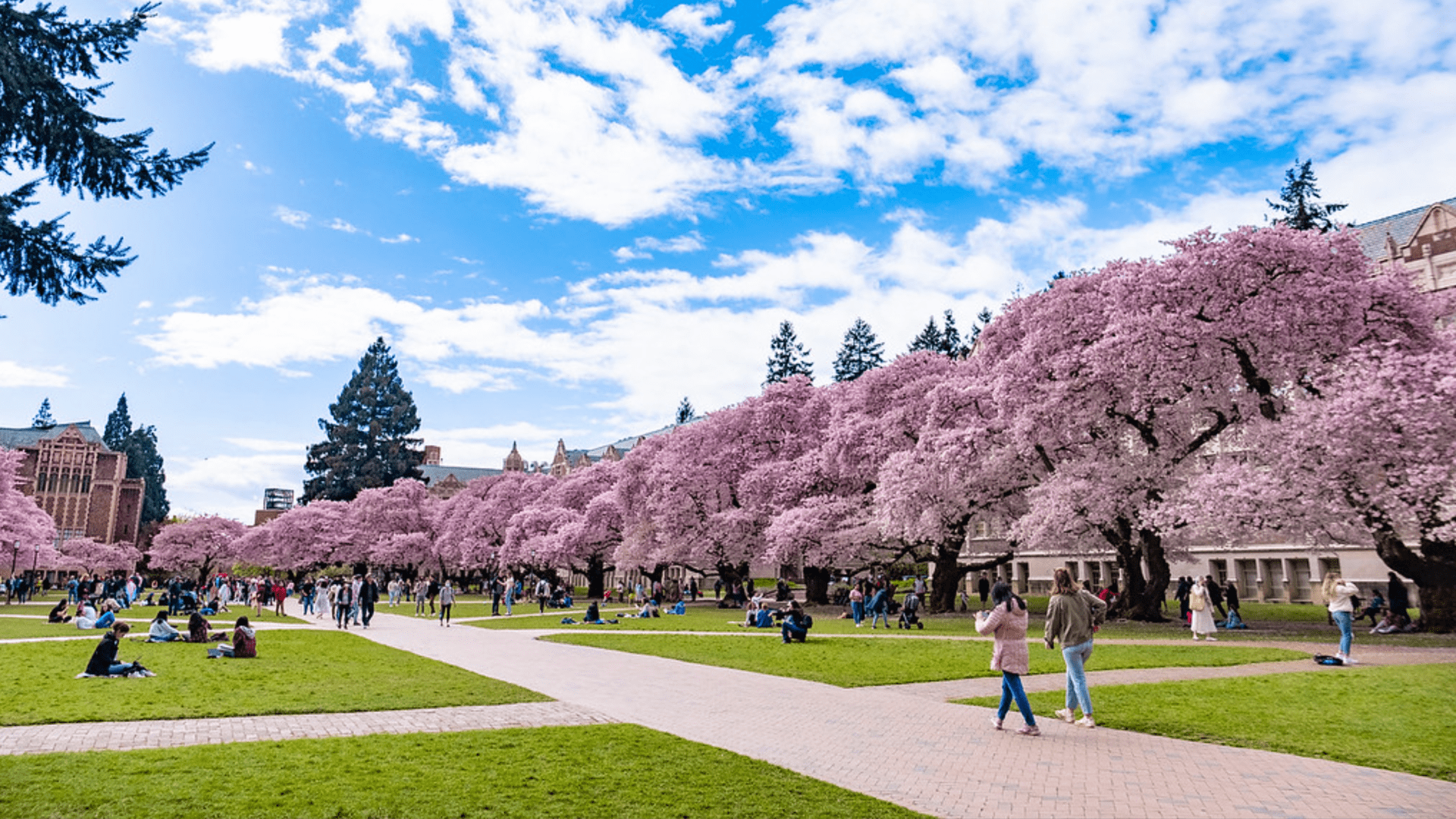 1920x1080 University of Washington ranks among most beautiful college campuses