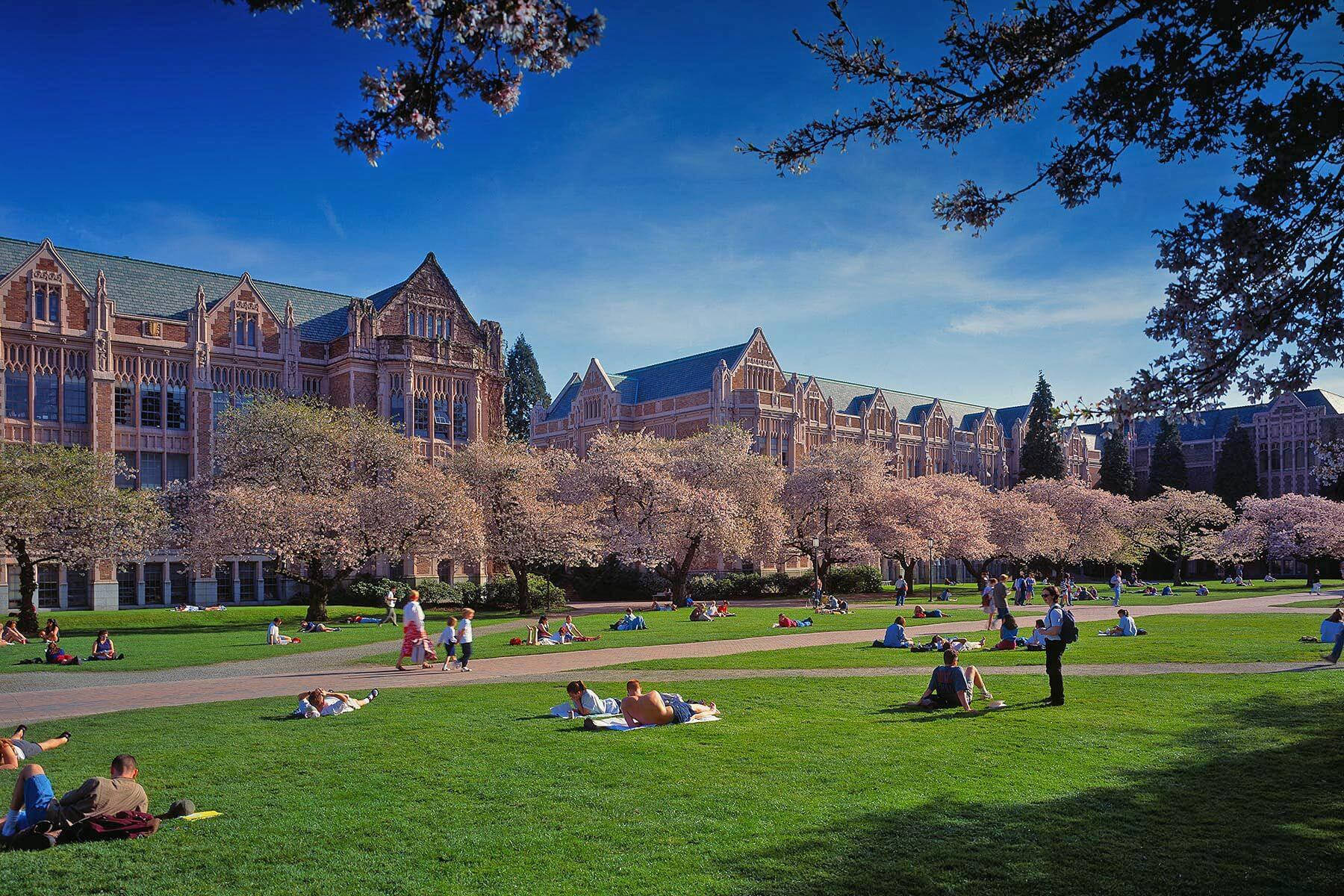 1800x1200 University Of Washington Wallpaper
